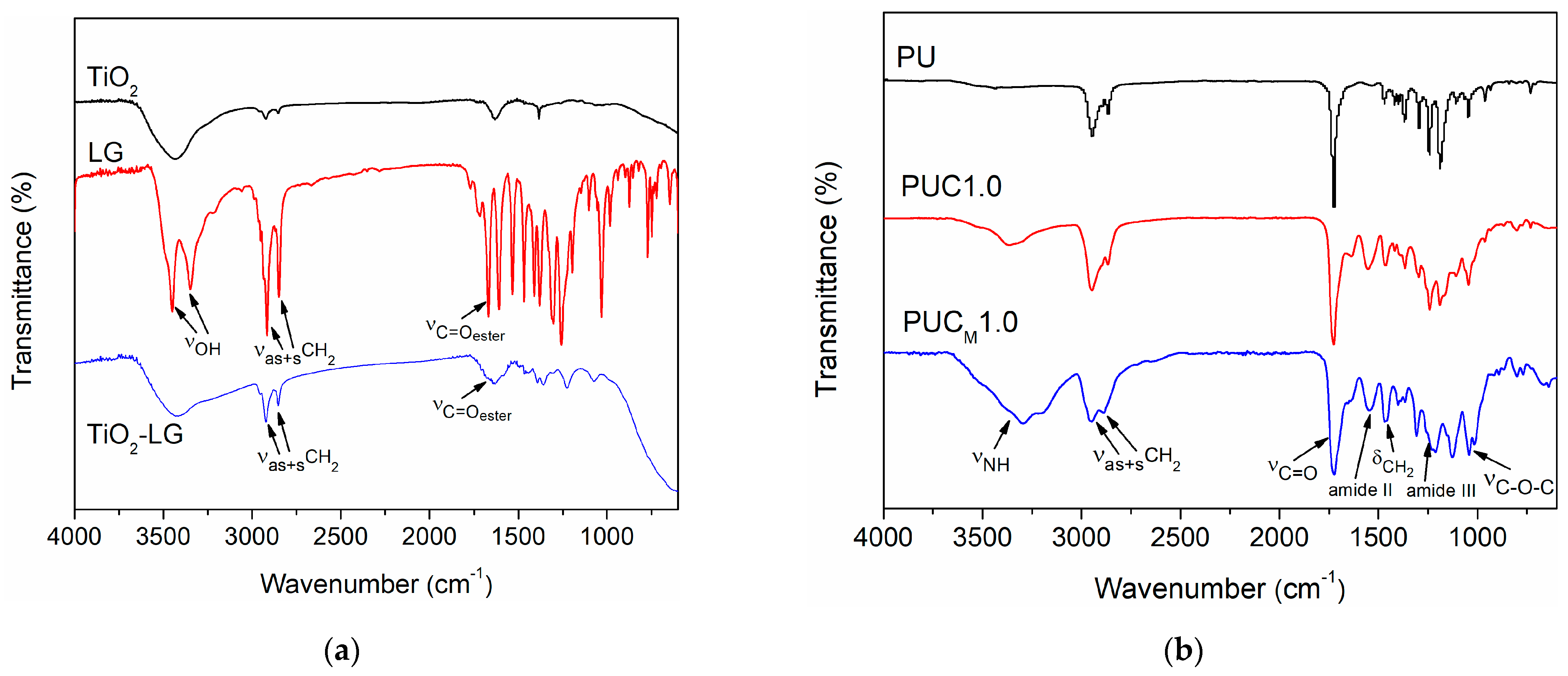 Polymers 16 01812 g001