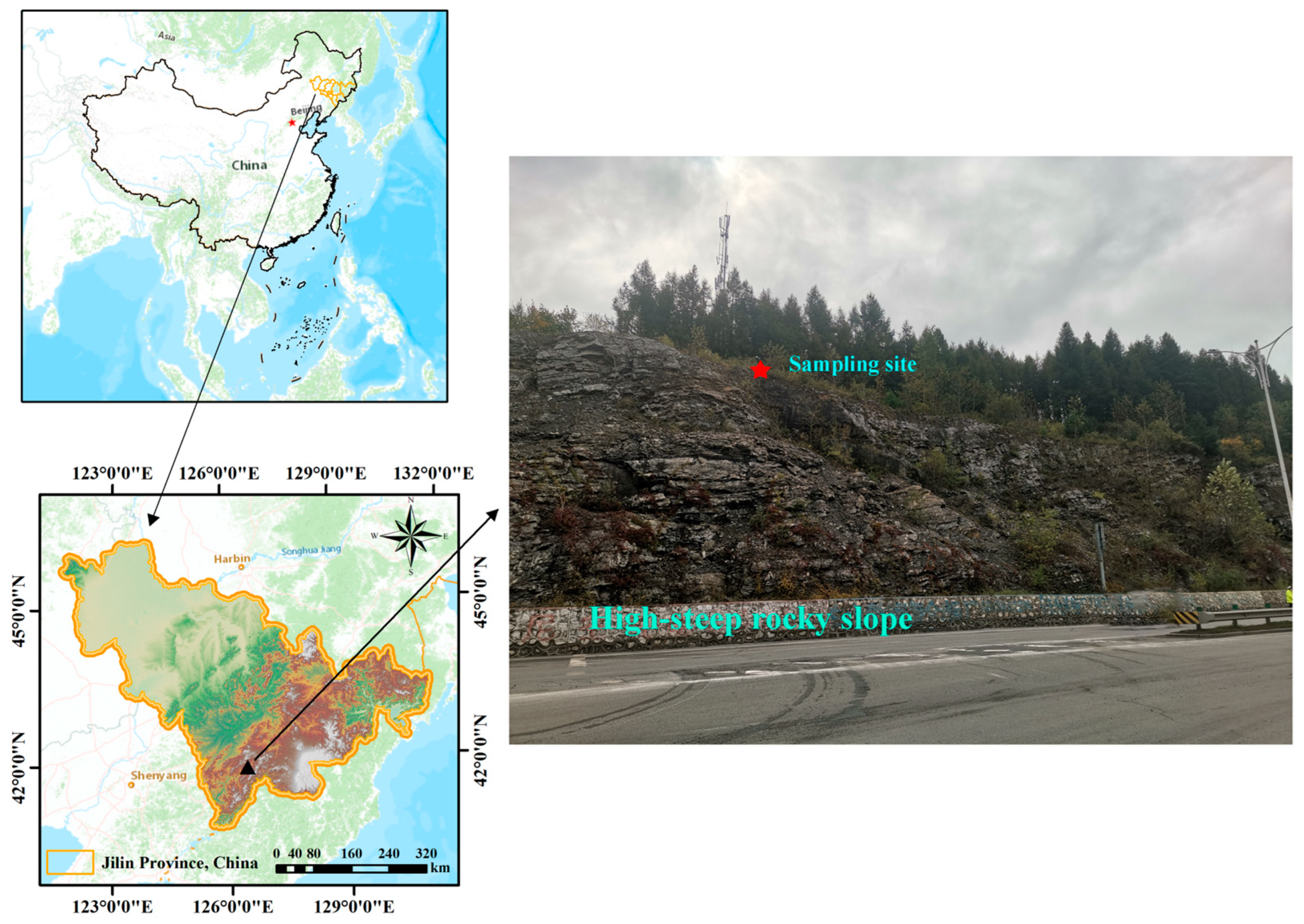 Polymers 16 01821 g001