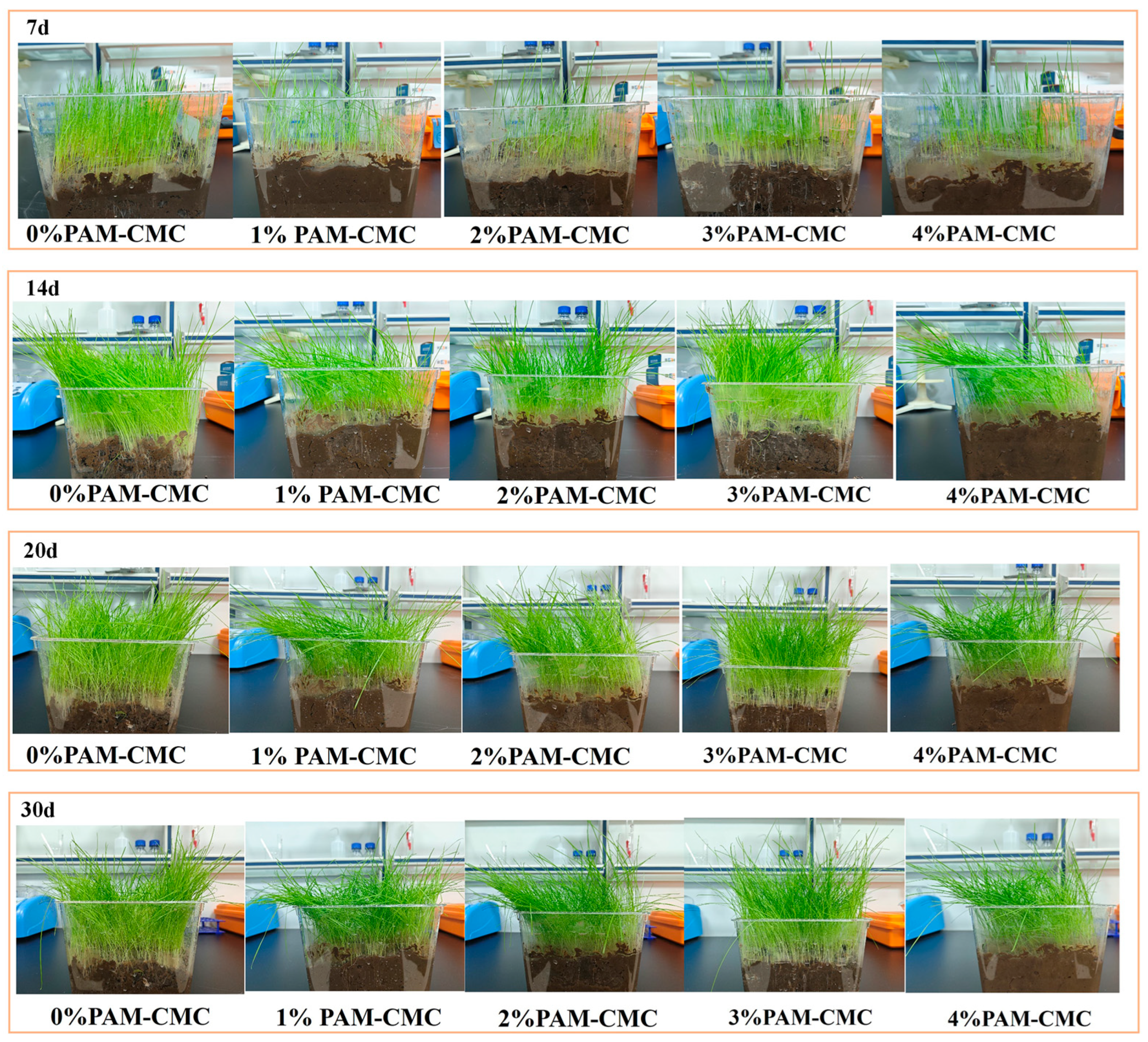 Polymers 16 01821 g011