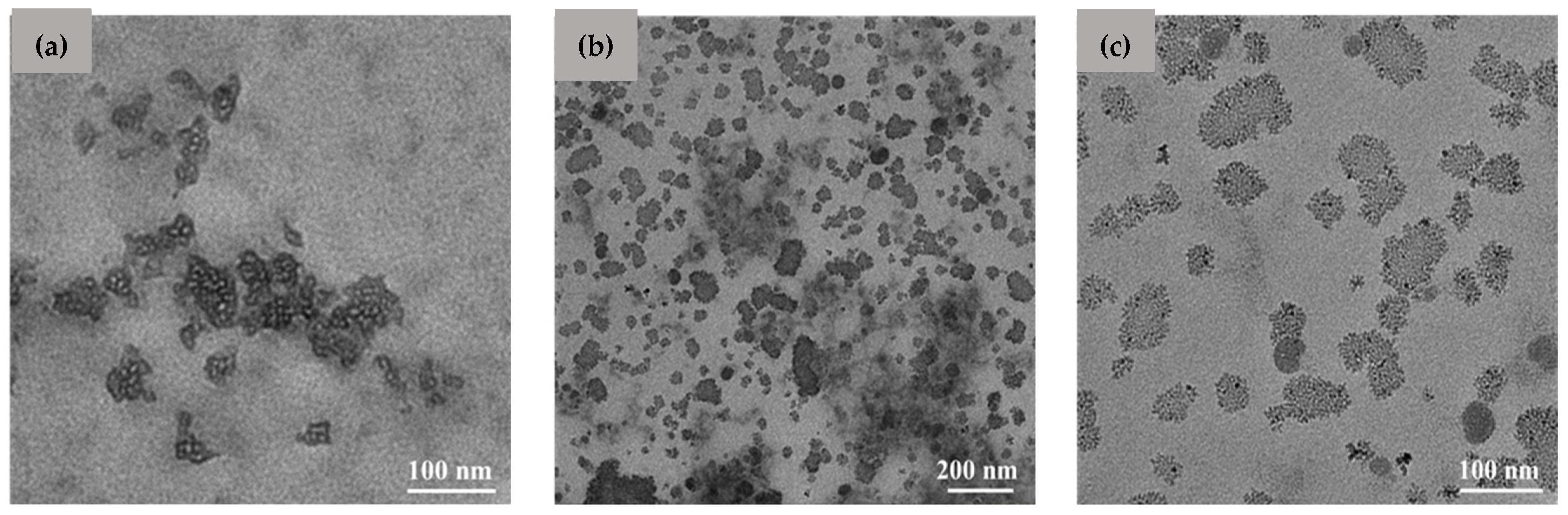 Polymers 16 01825 g001 Polymers 16 01825 g001