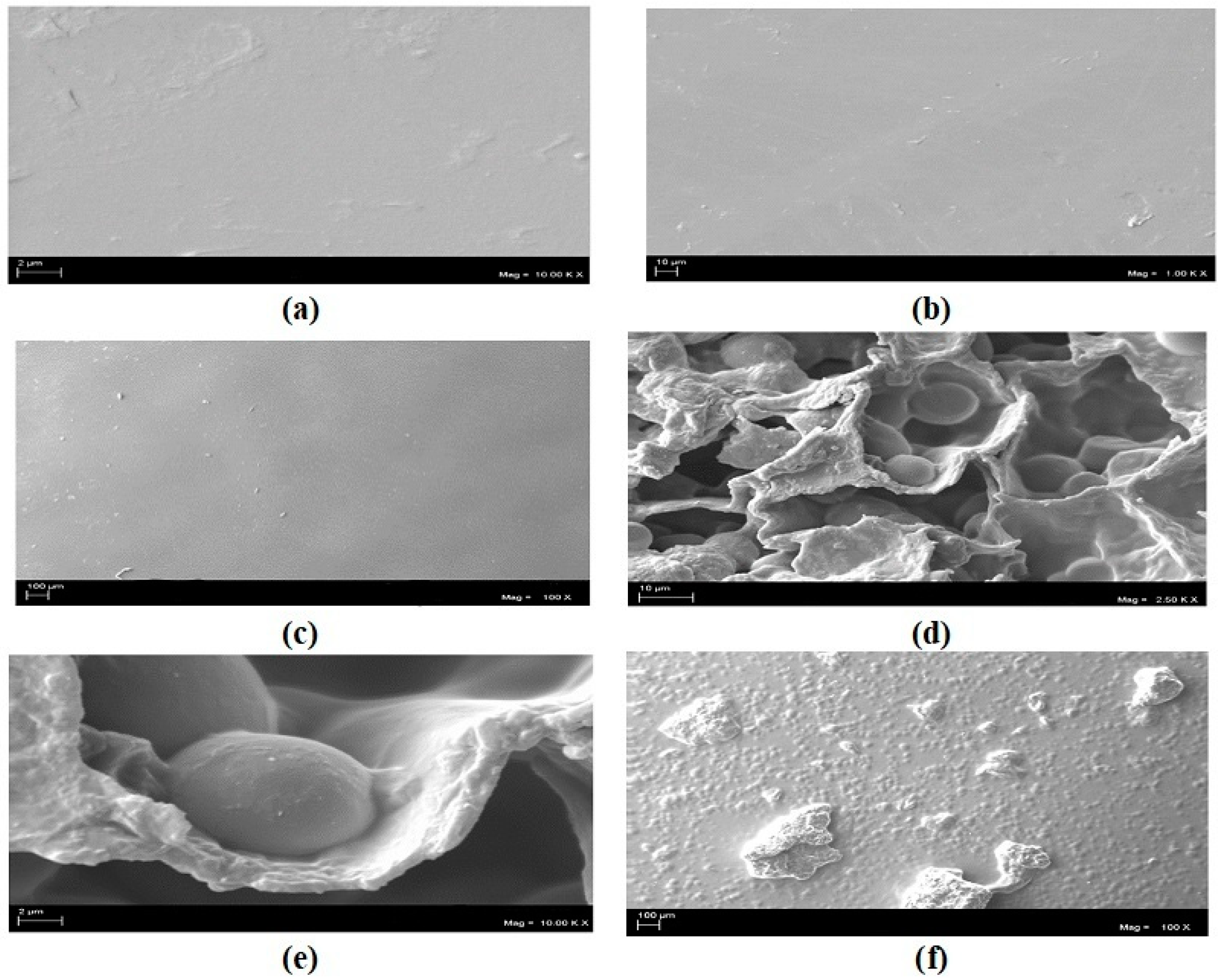 Polymers 16 01826 g001 Polymers 16 01826 g001