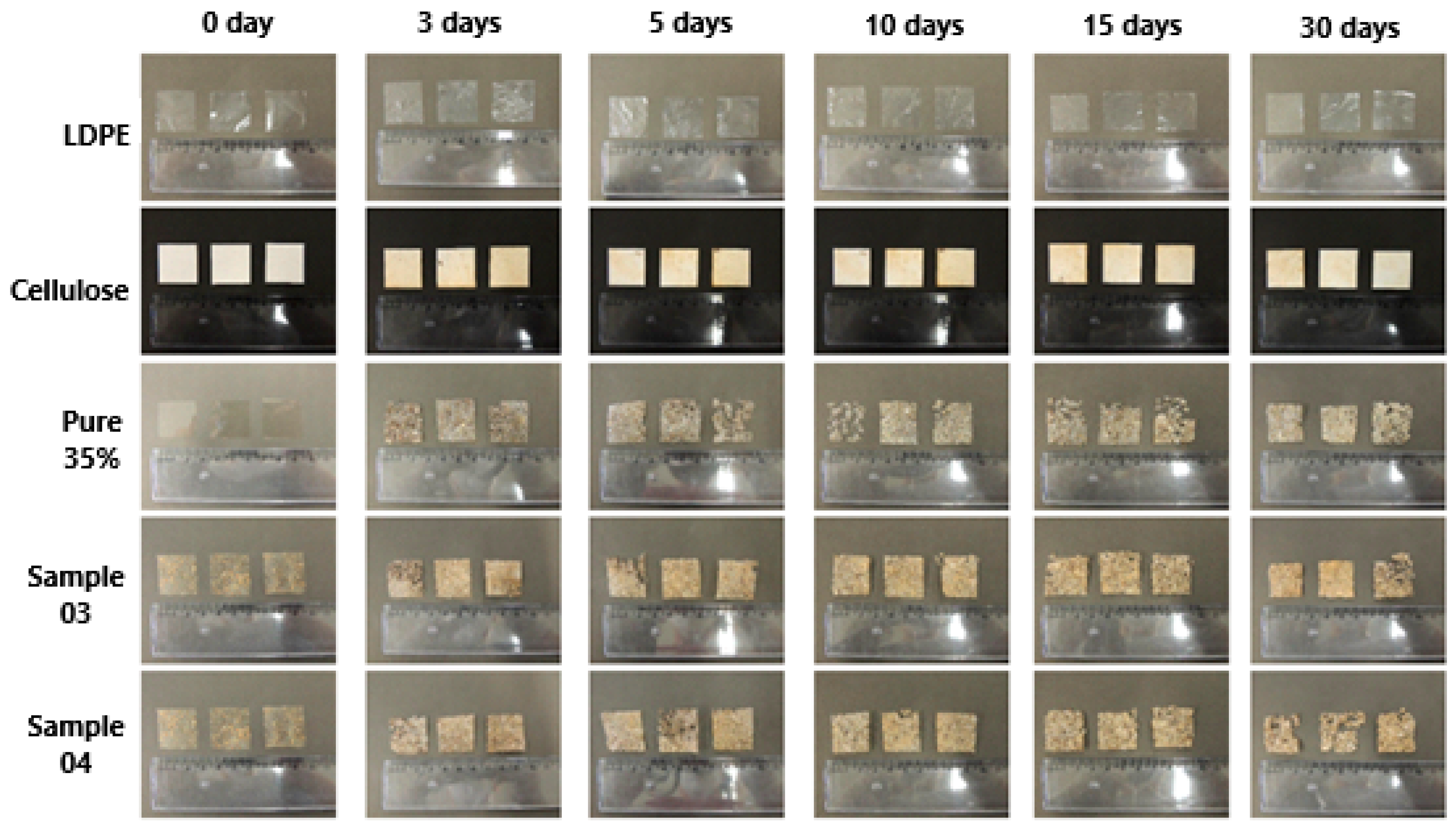 Polymers 16 01826 g002 Polymers 16 01826 g002