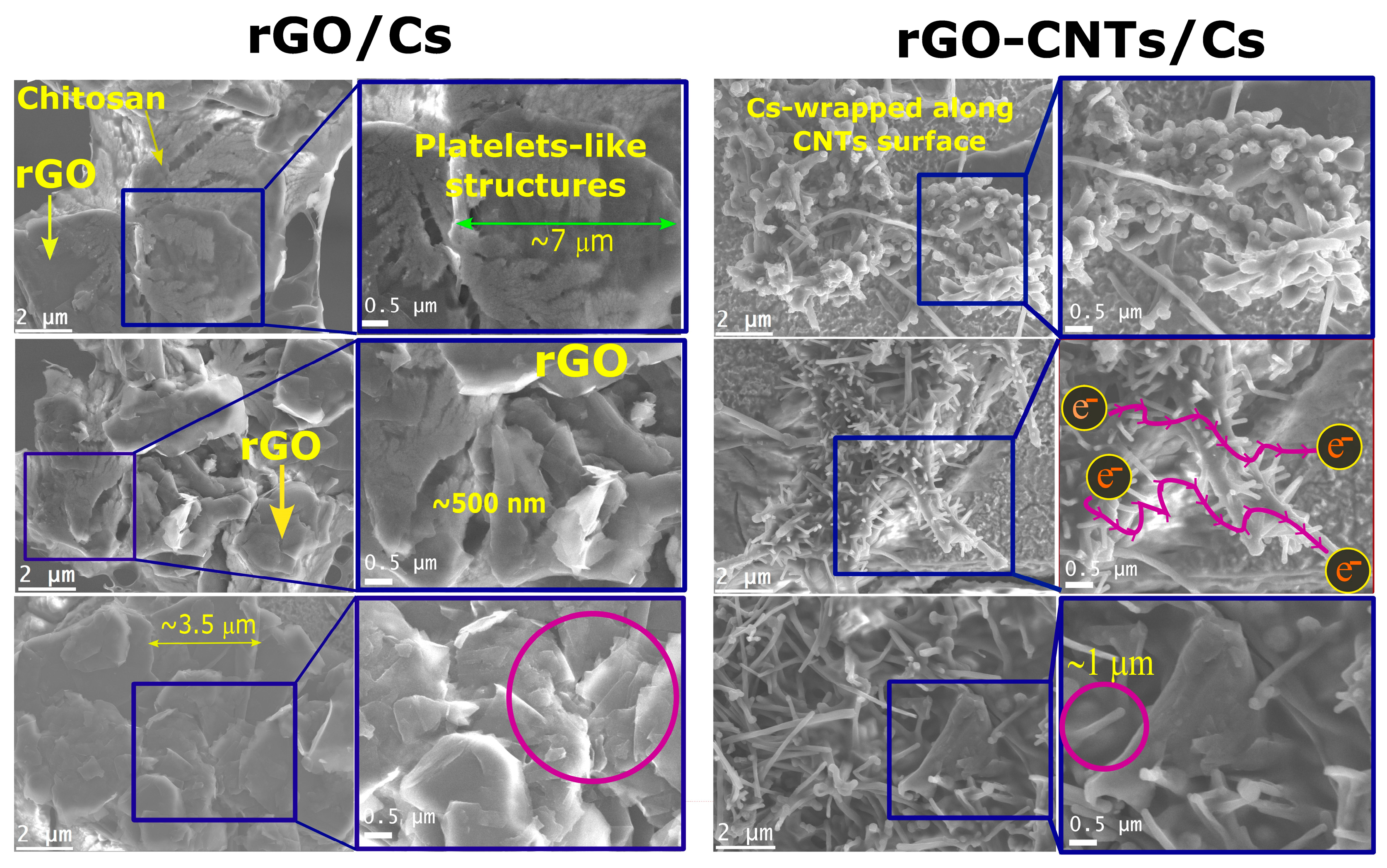 Polymers 16 01827 g006