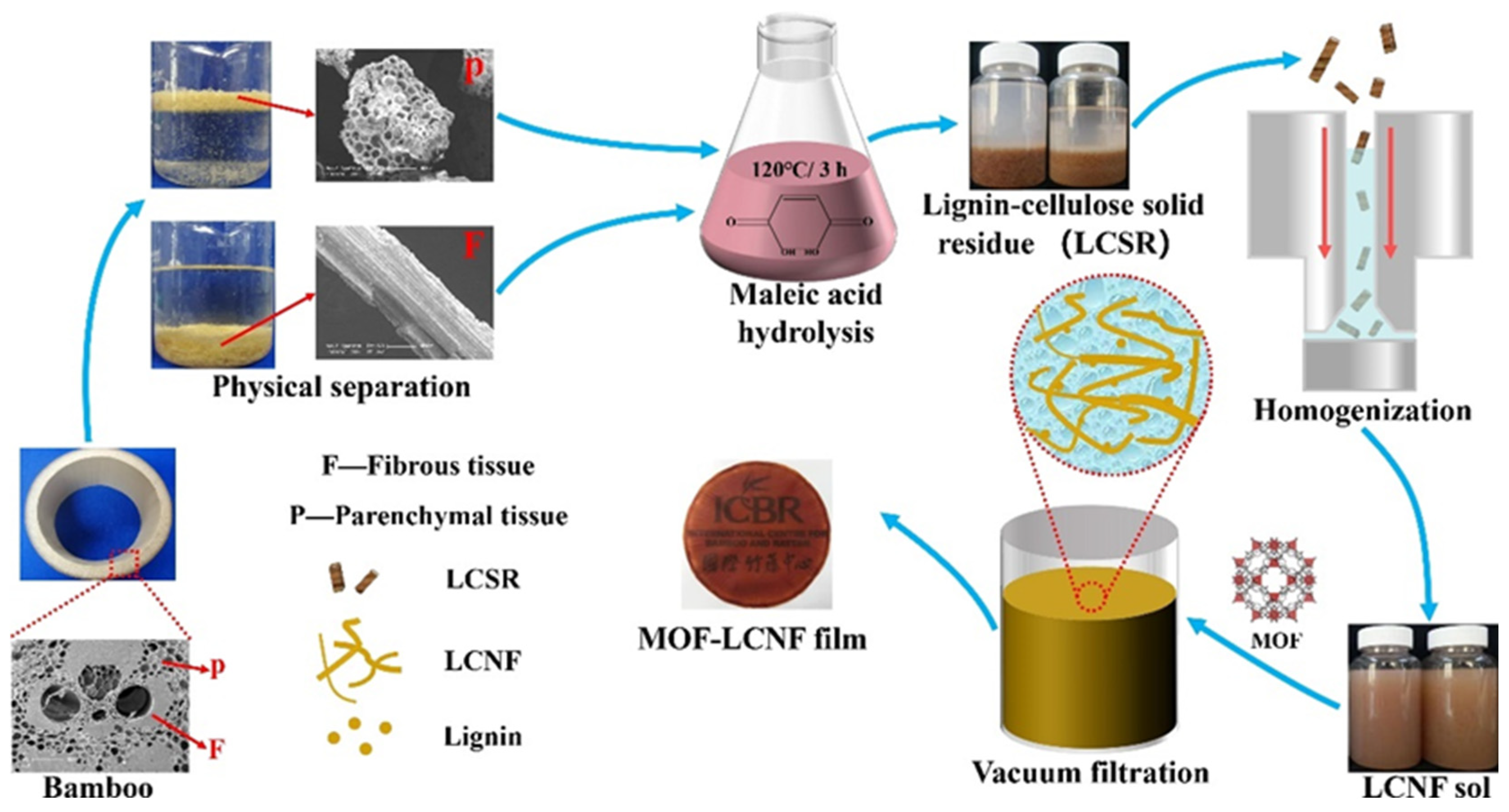Polymers 16 01829 g001