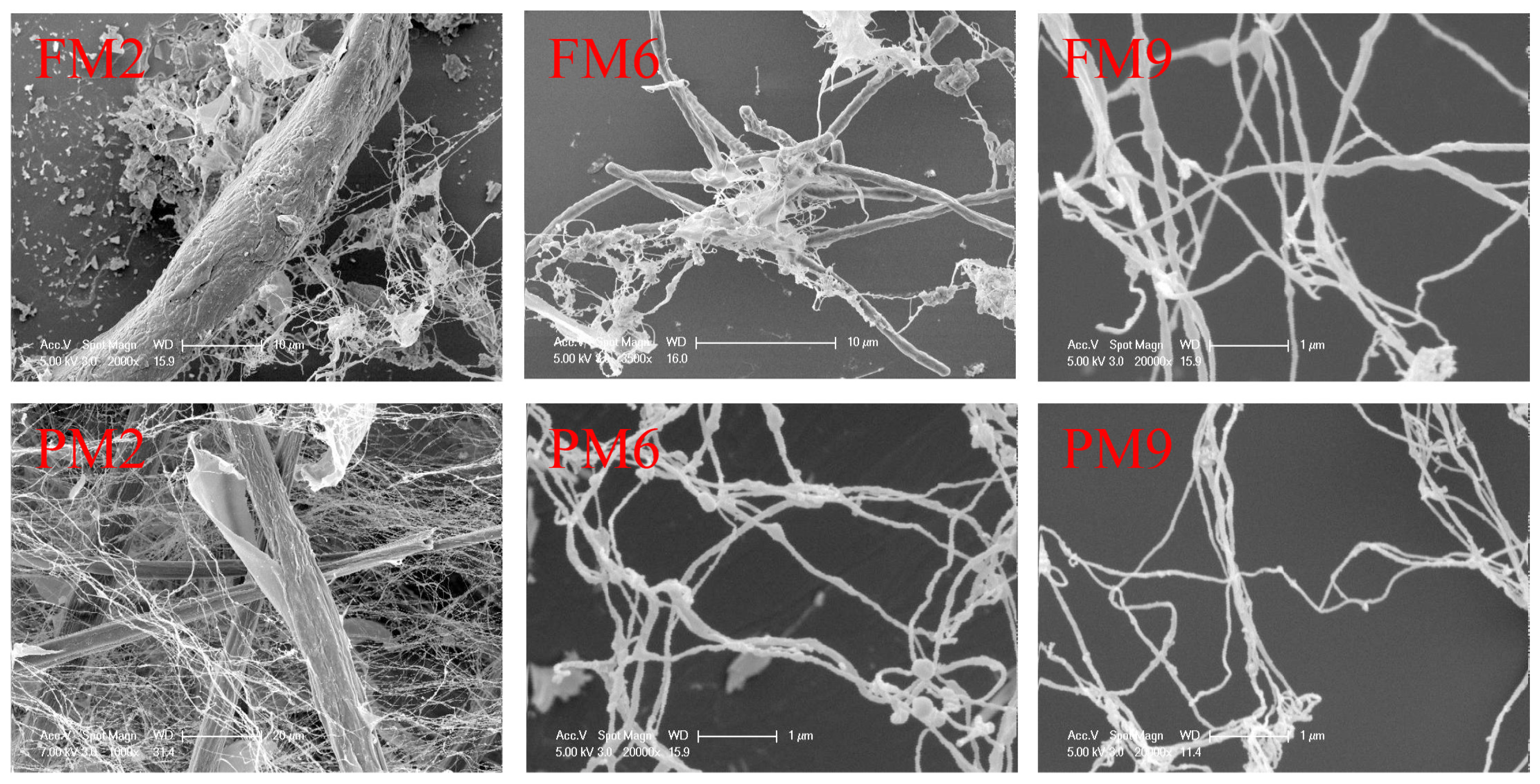 Polymers 16 01829 g005