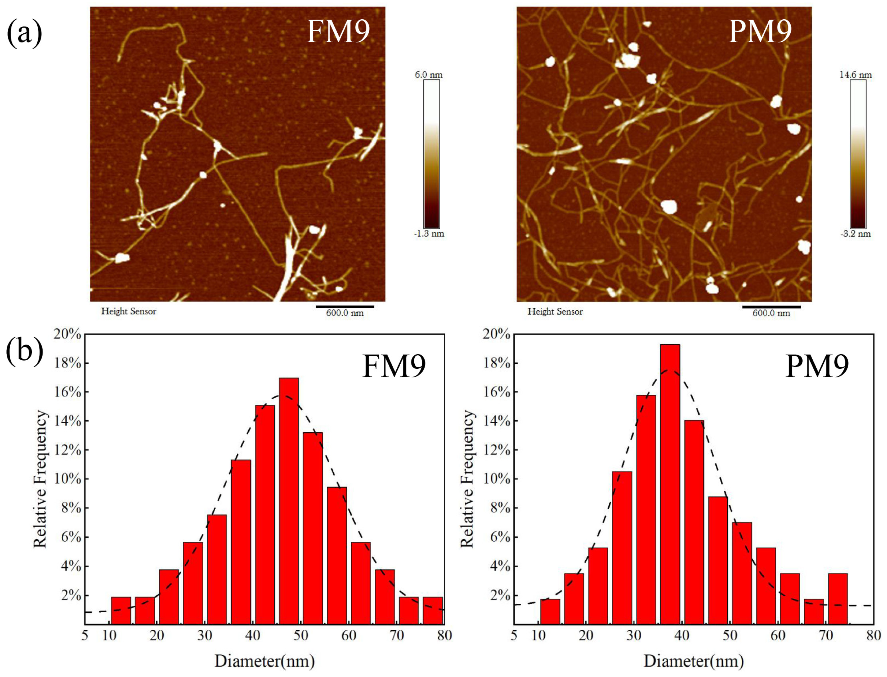 Polymers 16 01829 g006