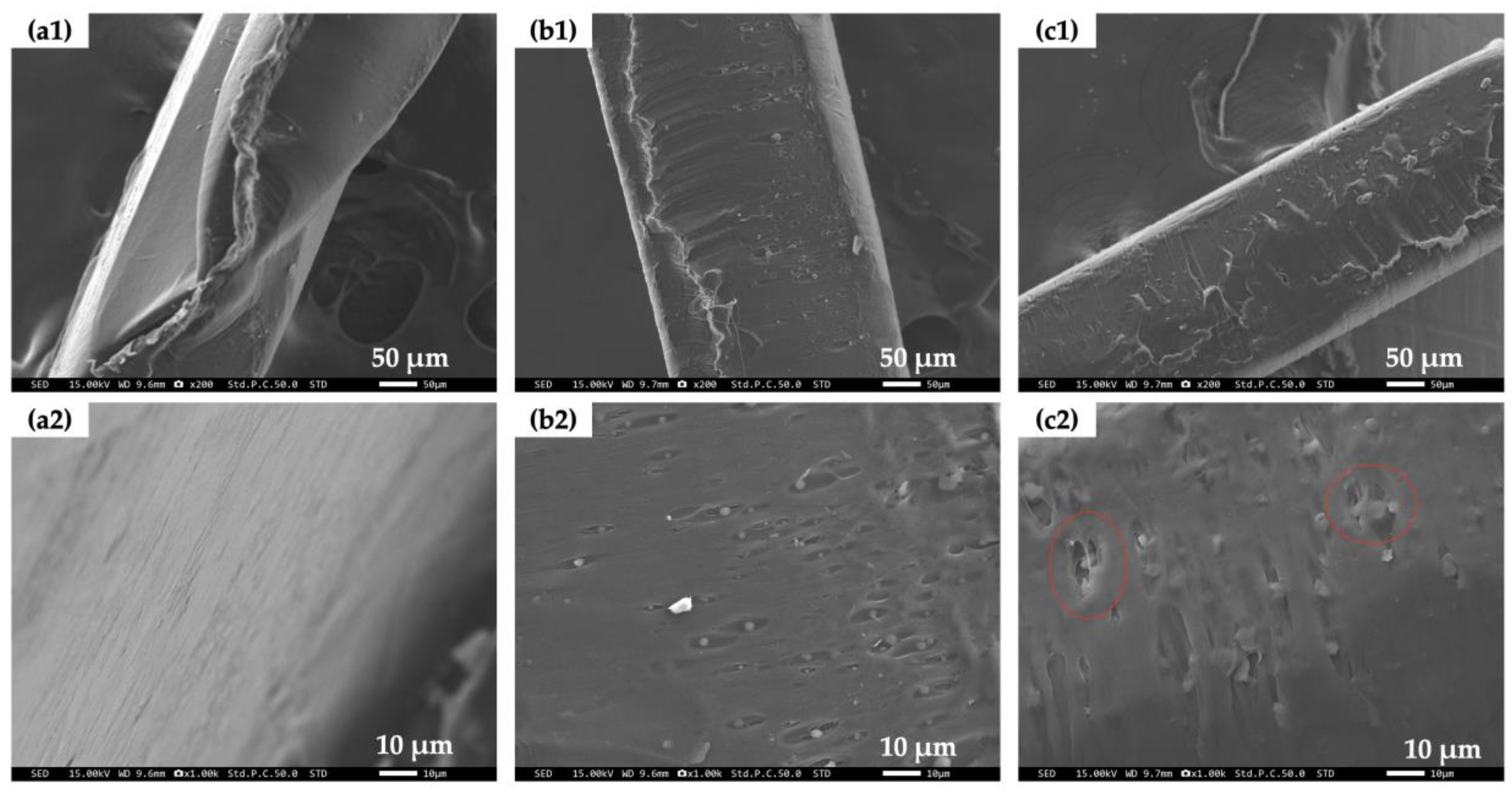 Polymers 16 01830 g004 Polymers 16 01830 g004