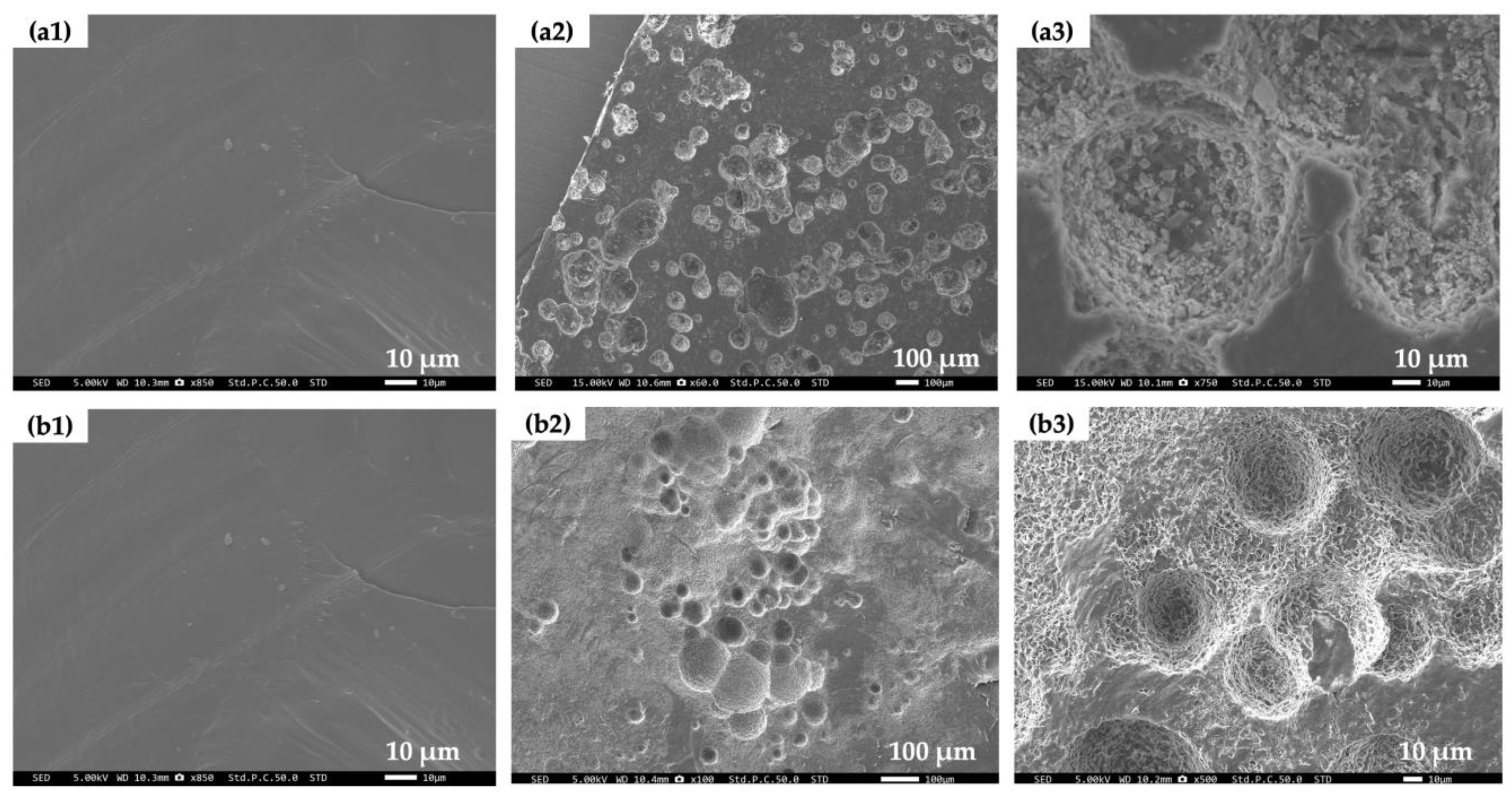 Polymers 16 01830 g006 Polymers 16 01830 g006