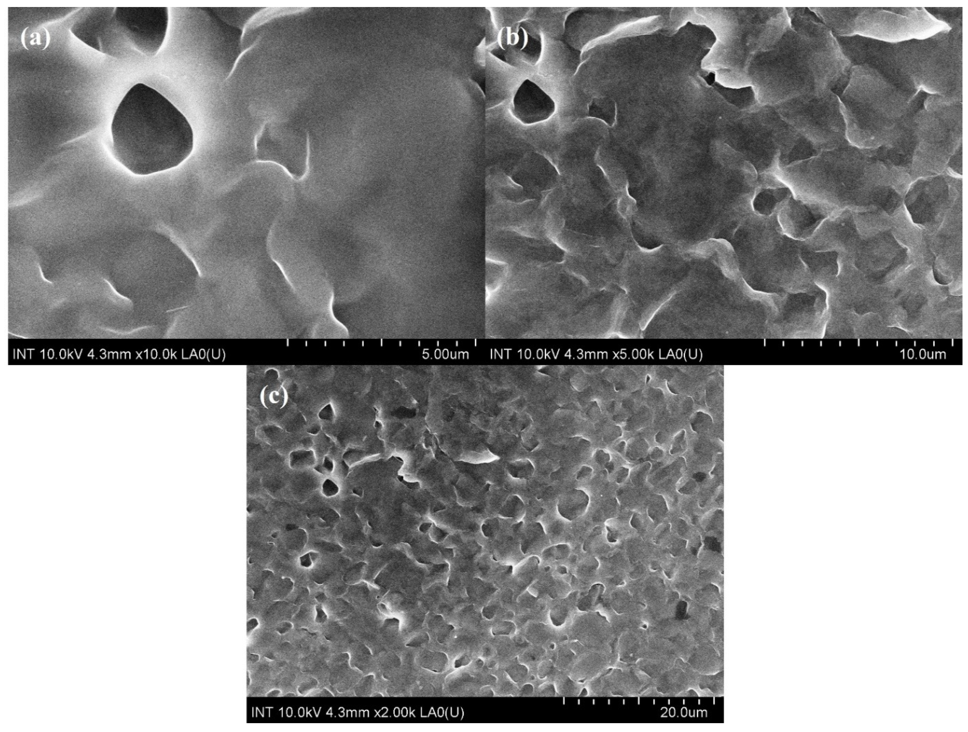 Polymers 16 01839 g001