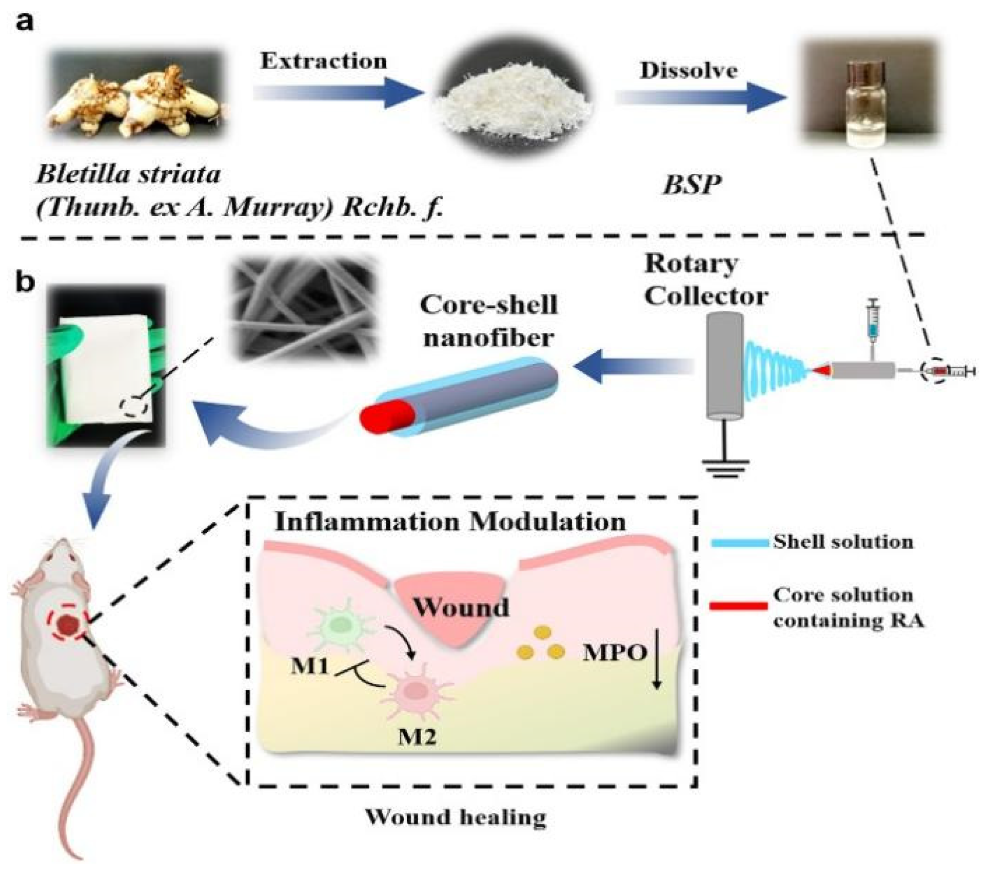 Polymers 16 01846 g003