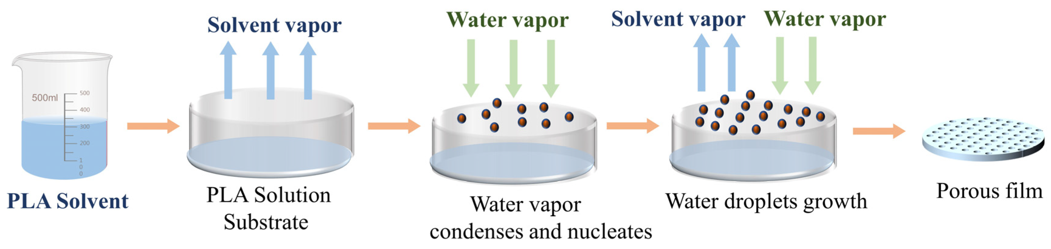Polymers 16 01846 g004