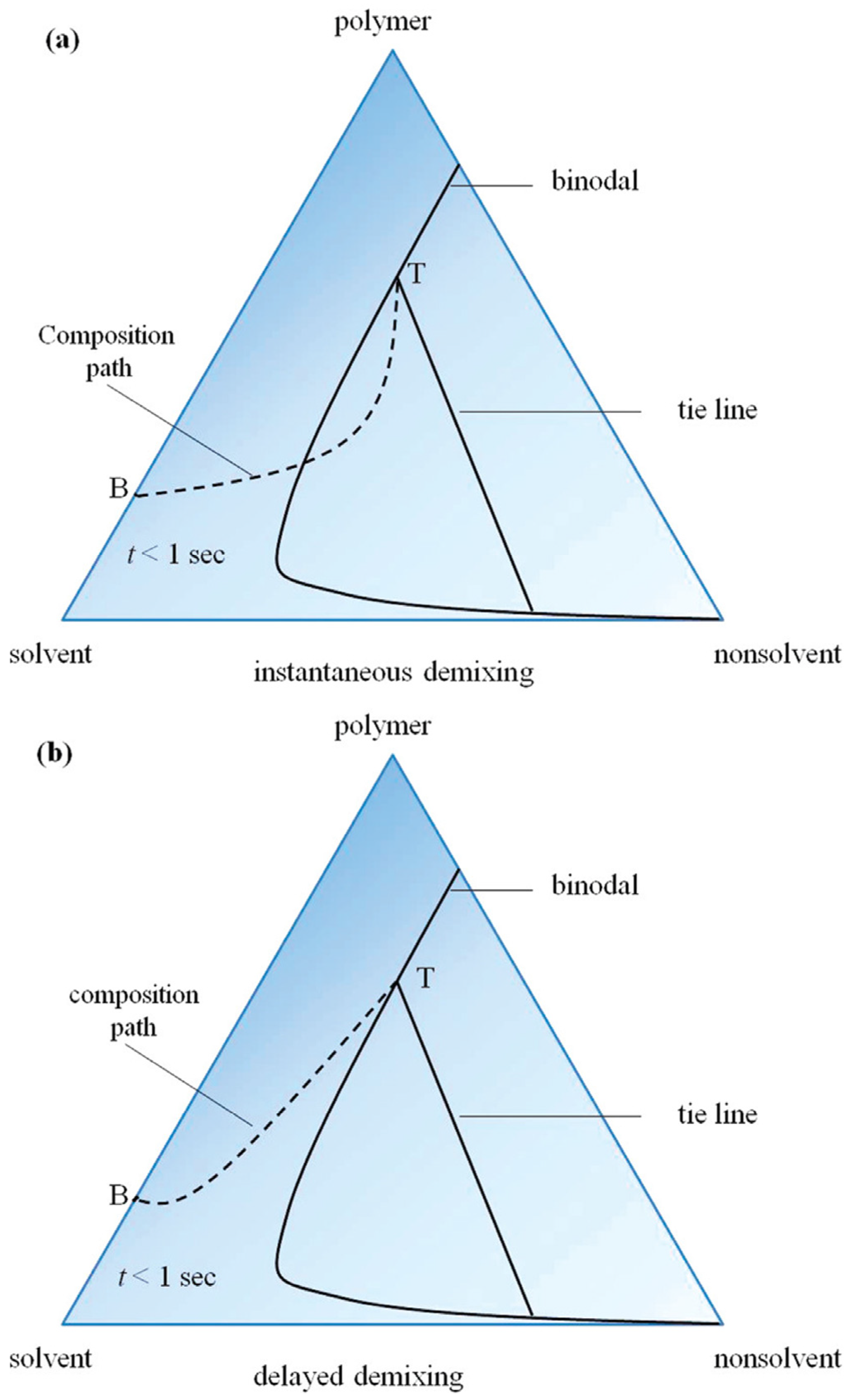 Polymers 16 01846 g010
