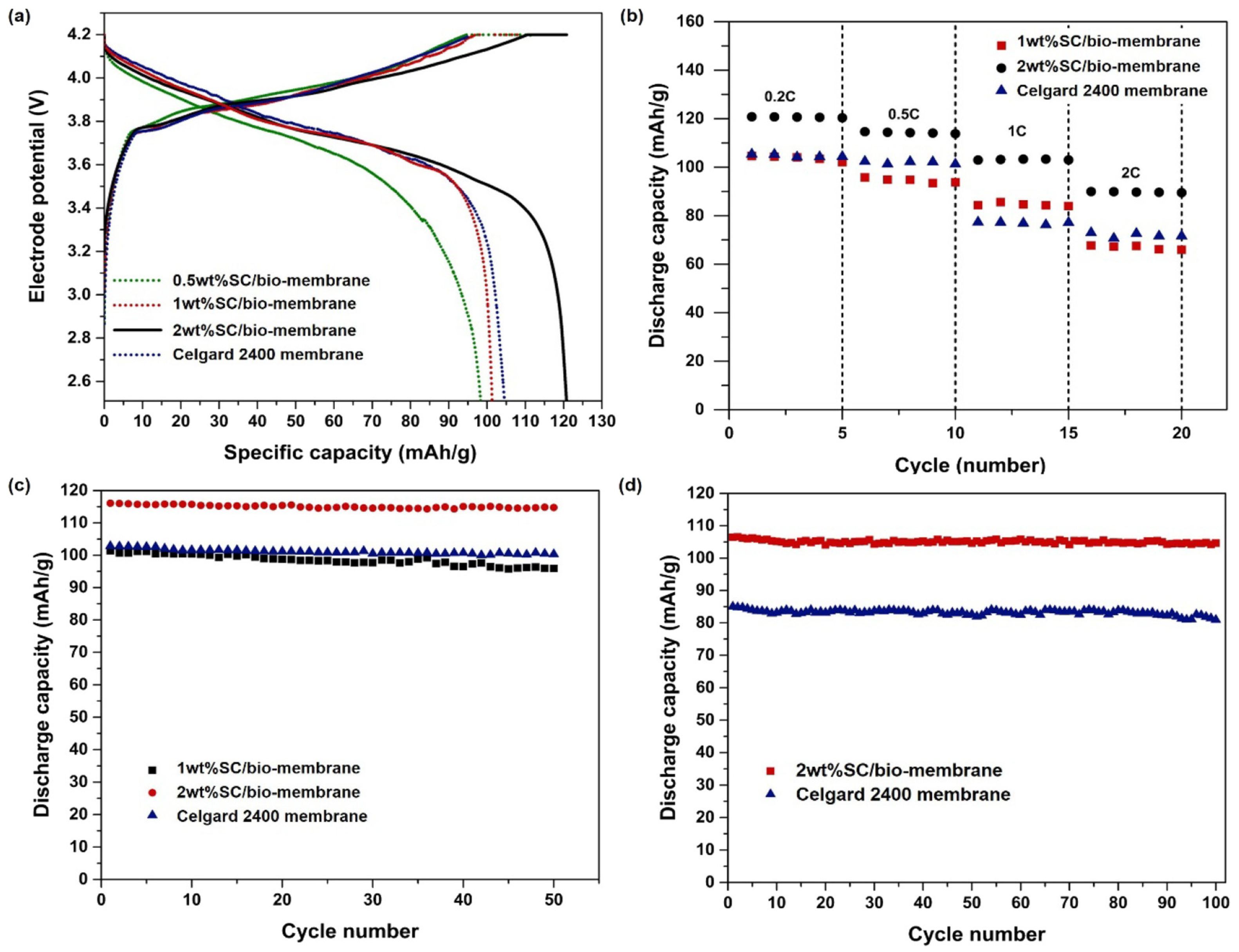 Polymers 16 01846 g013