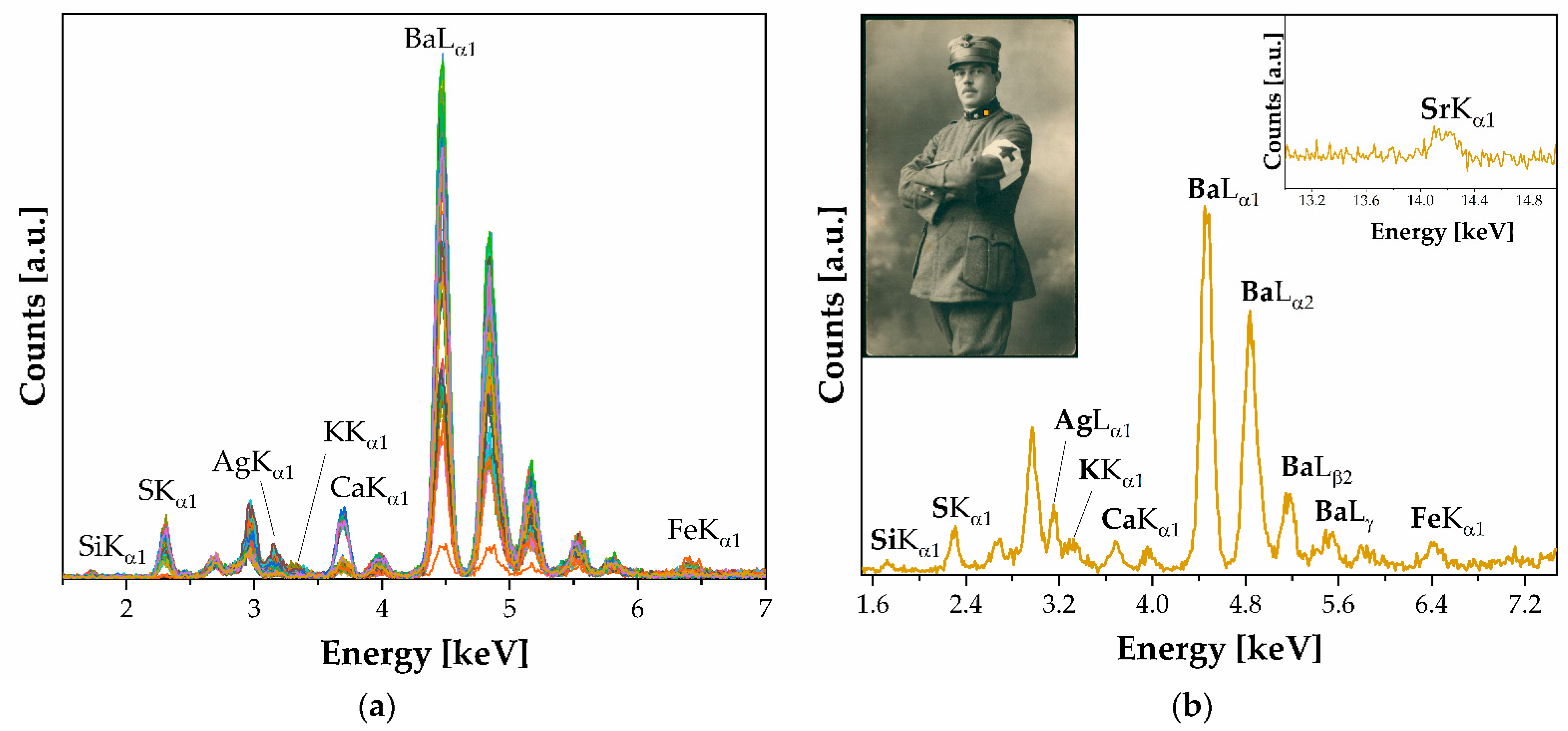 Polymers 16 01850 g004