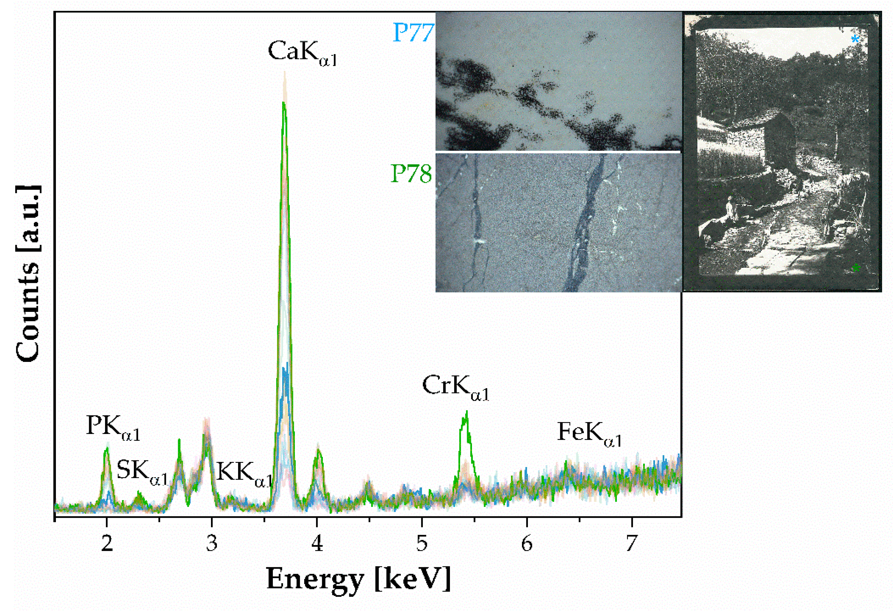 Polymers 16 01850 g007
