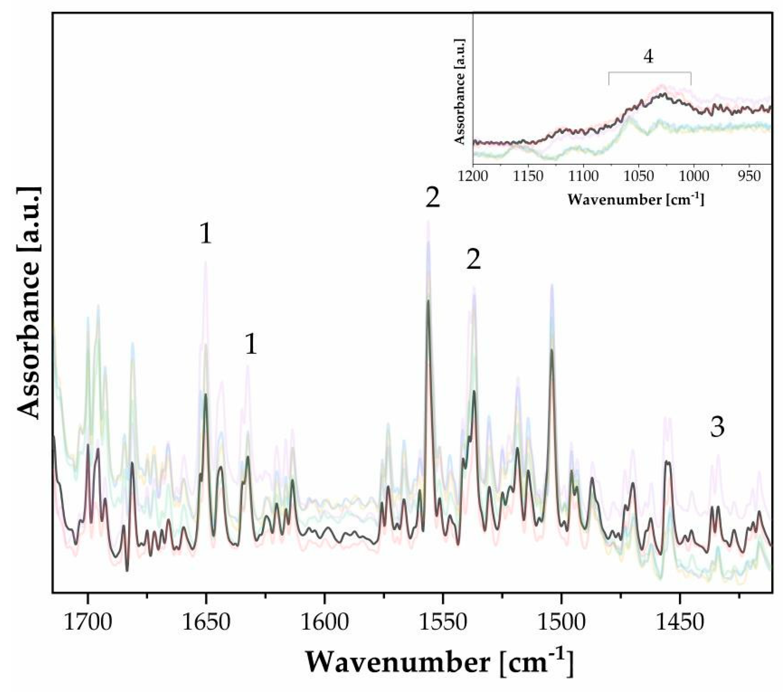 Polymers 16 01850 g008