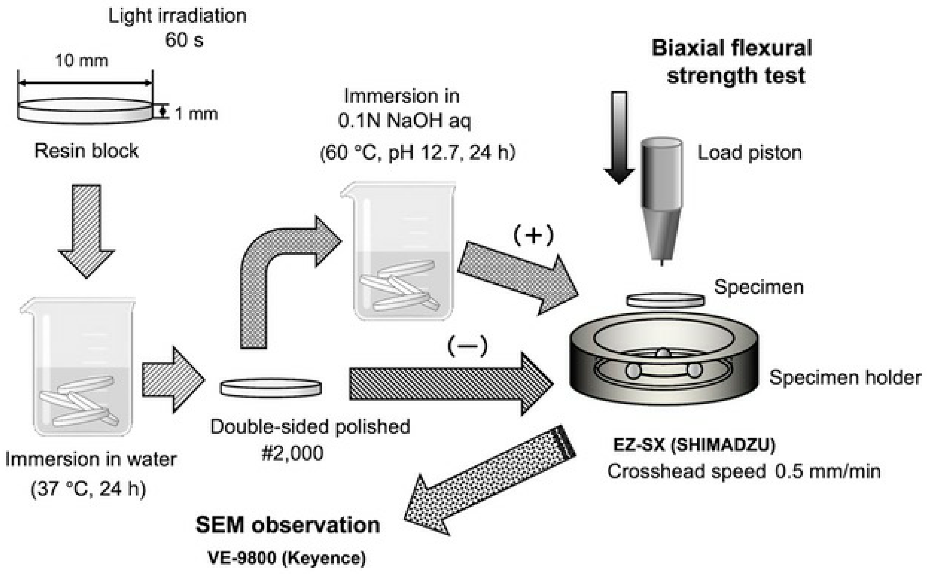 Polymers 16 01853 g001