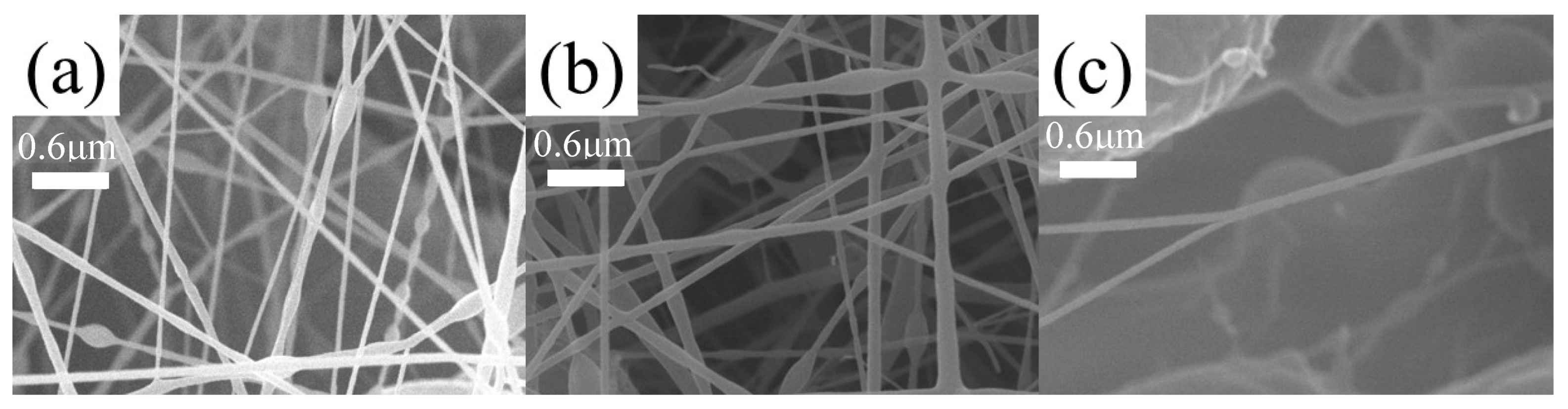Polymers 16 01854 g008