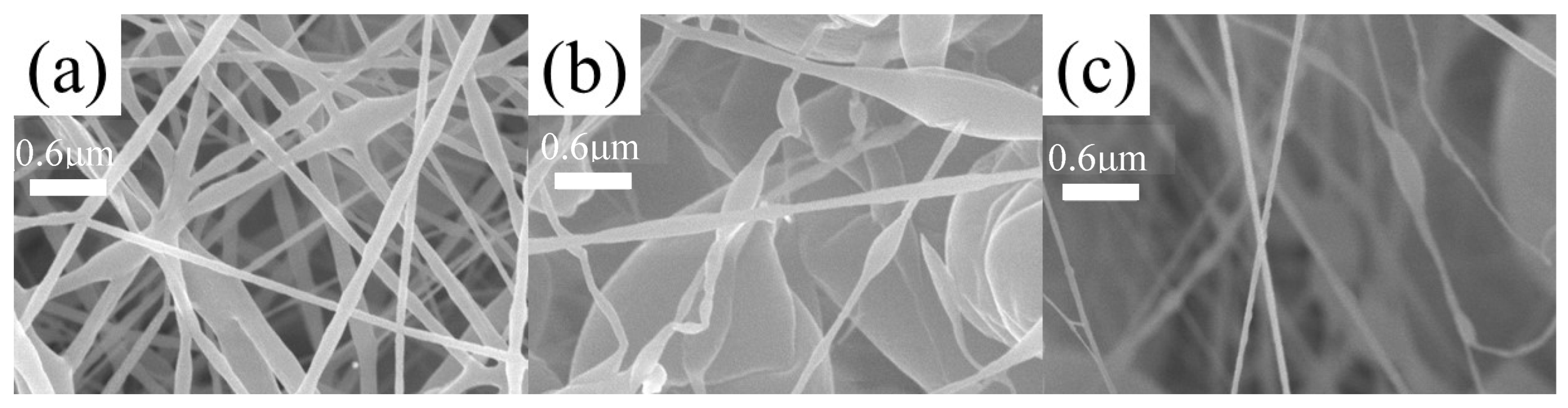 Polymers 16 01854 g009