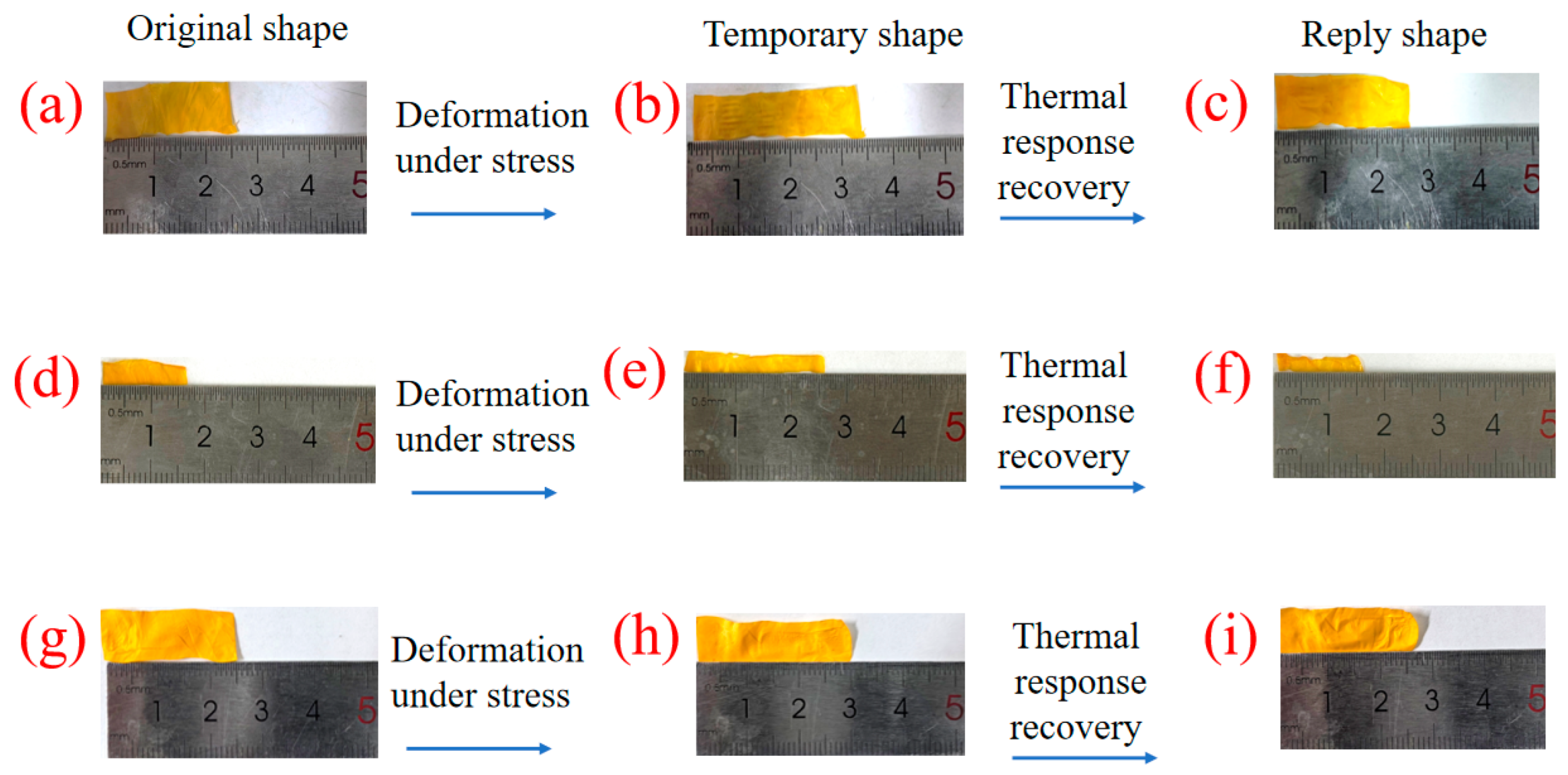 Polymers 16 01854 g011