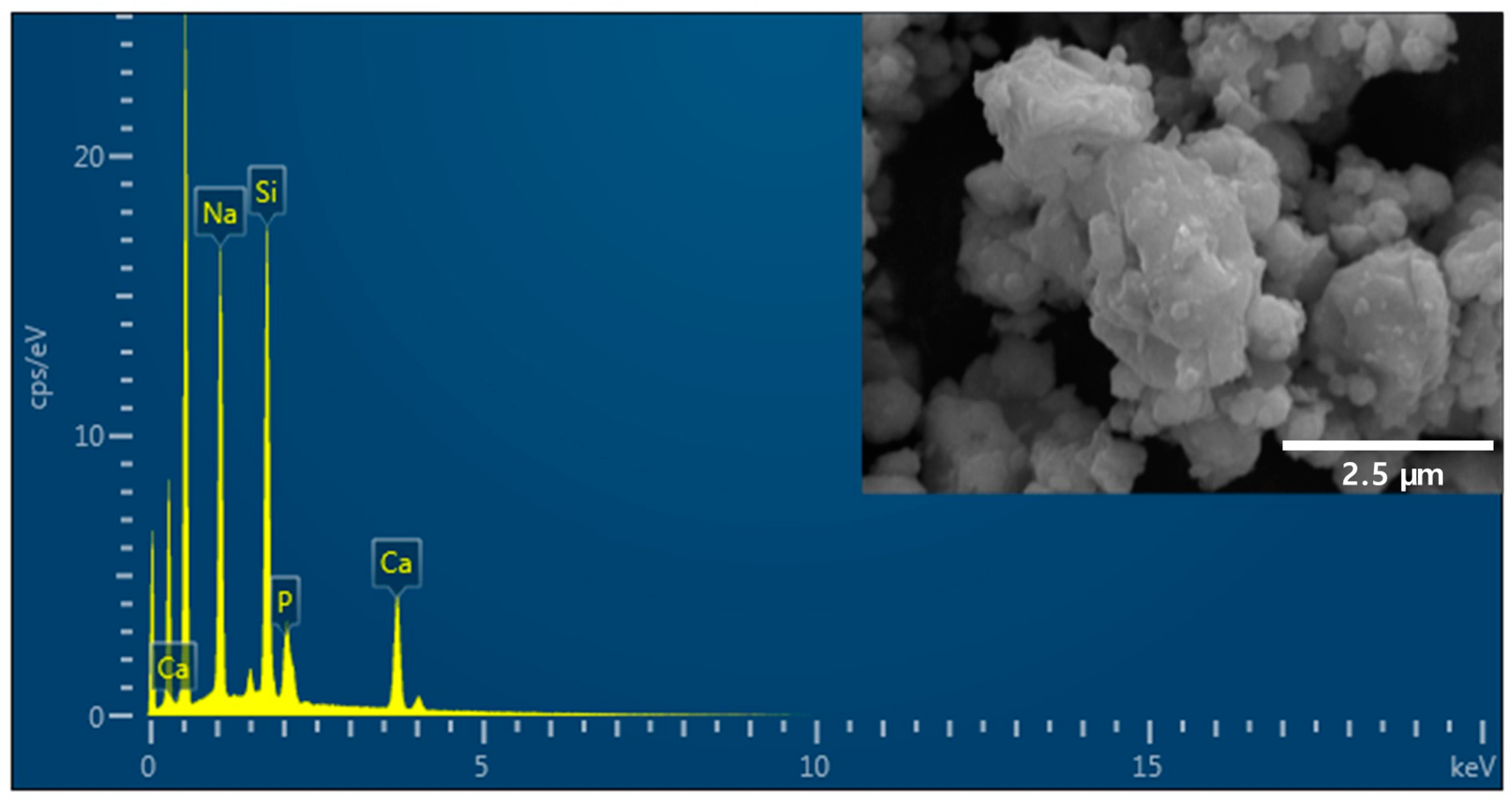 Polymers 16 01855 g001 Polymers 16 01855 g001