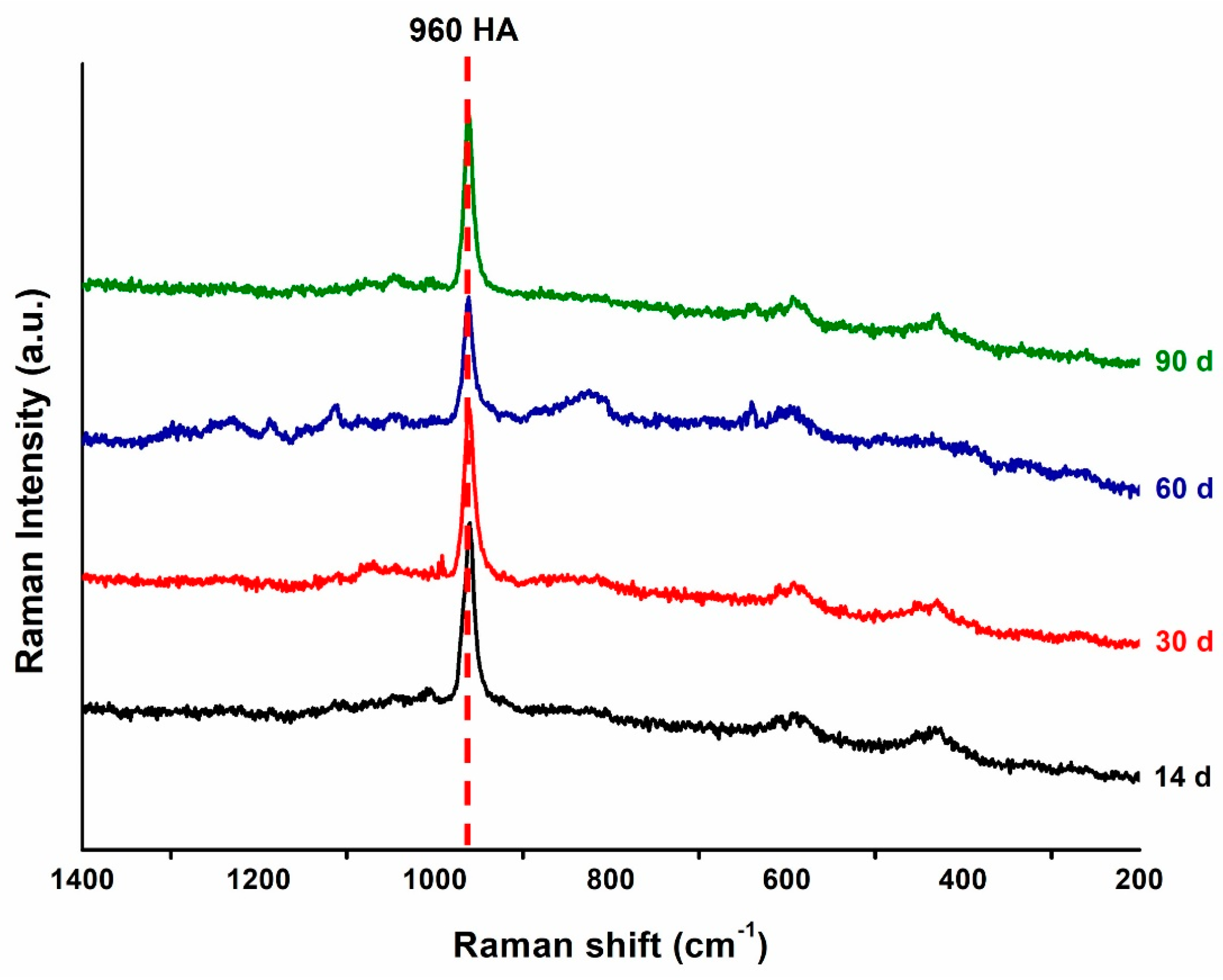 Polymers 16 01855 g004 Polymers 16 01855 g004