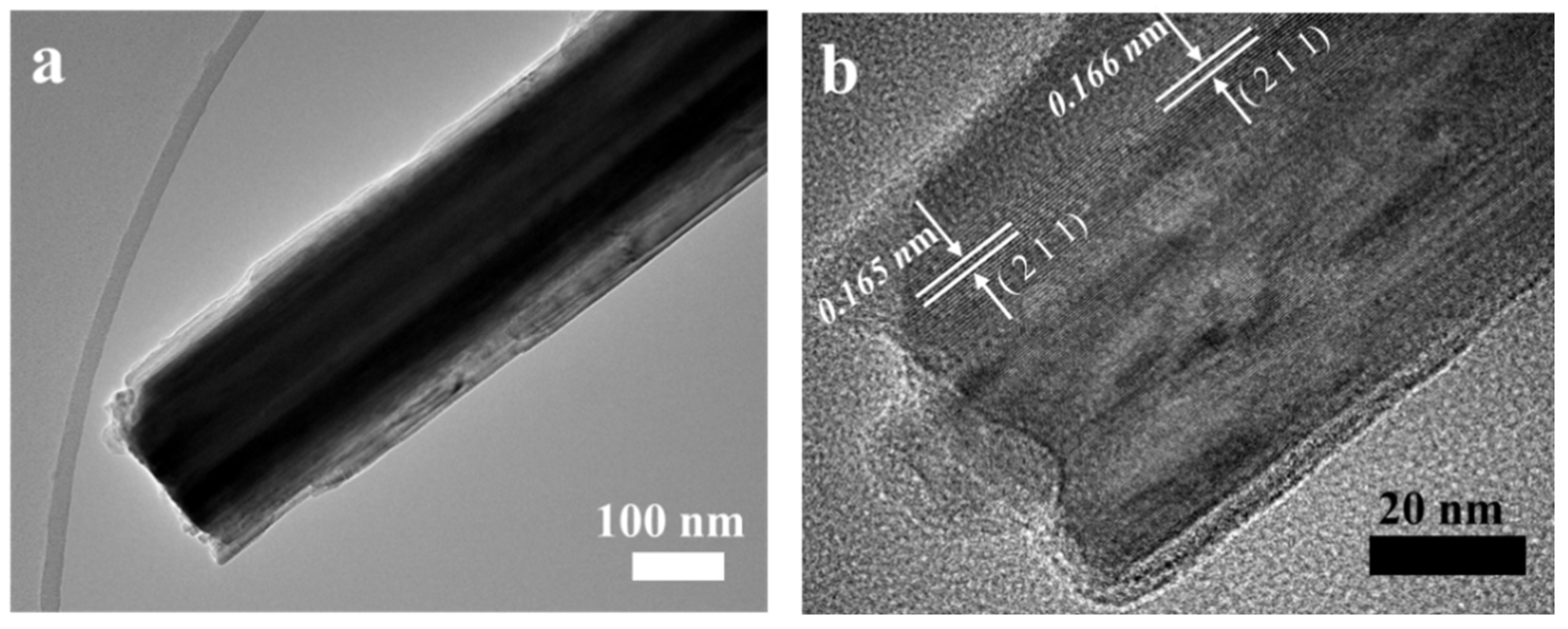 Polymers 16 01856 g004