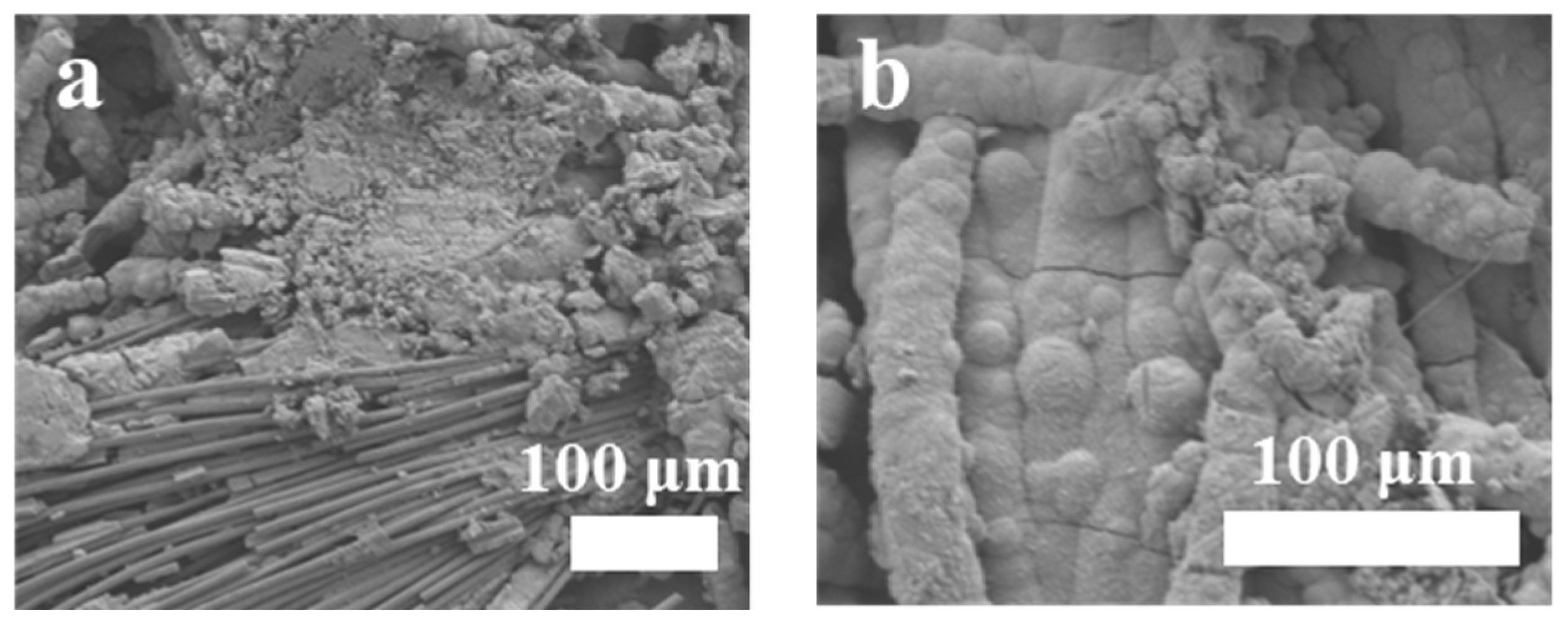 Polymers 16 01856 g011
