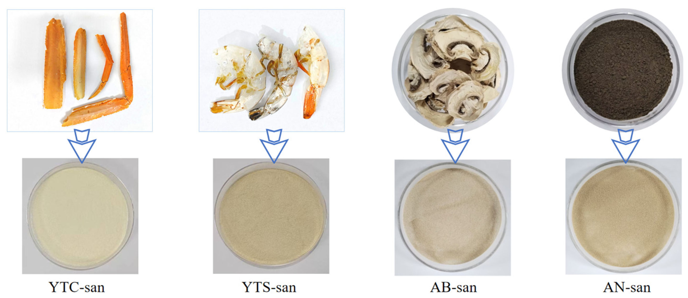 Polymers 16 01858 g001