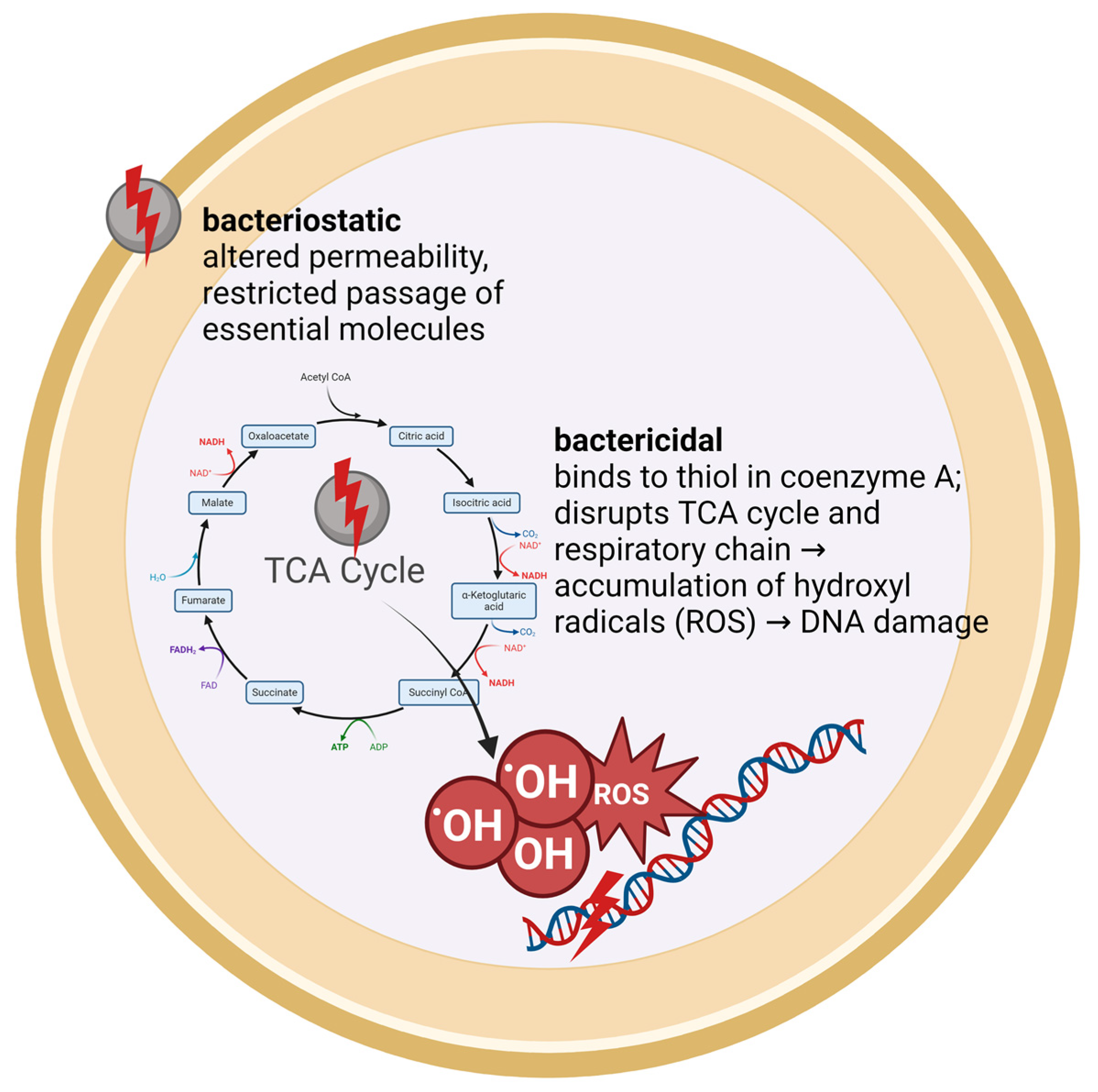 Polymers 16 01862 g004
