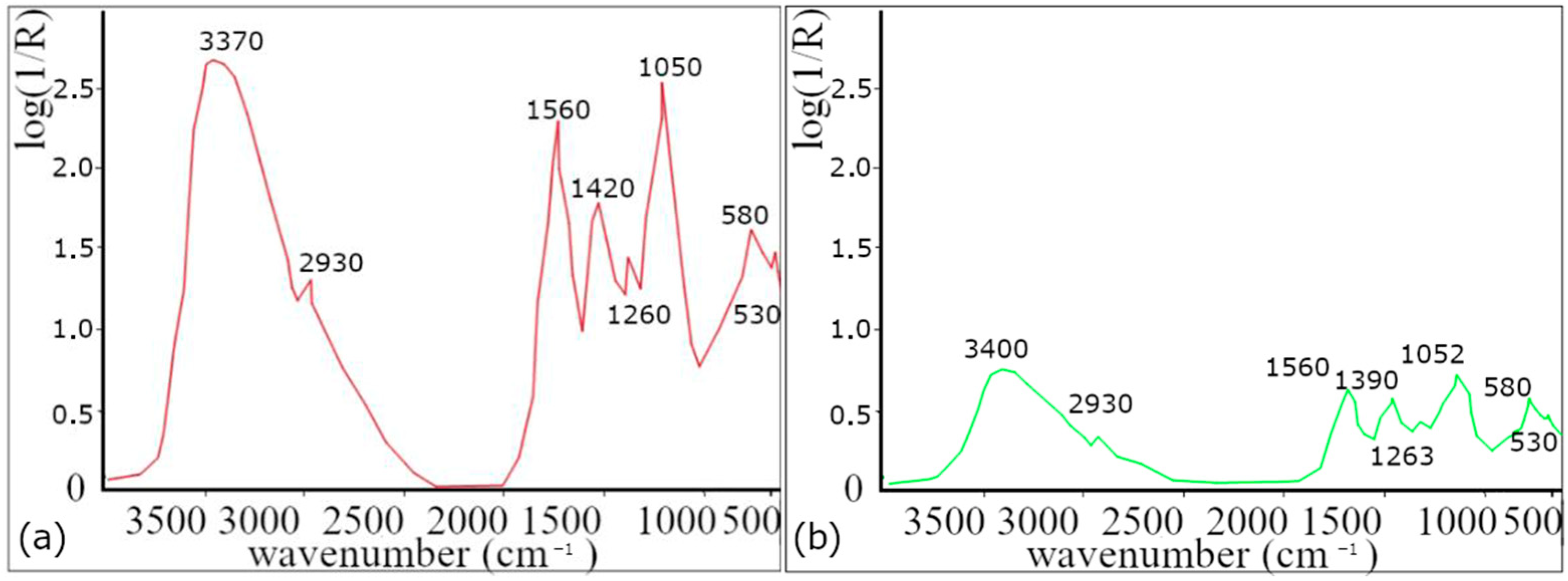 Polymers 16 01865 g001 Polymers 16 01865 g001