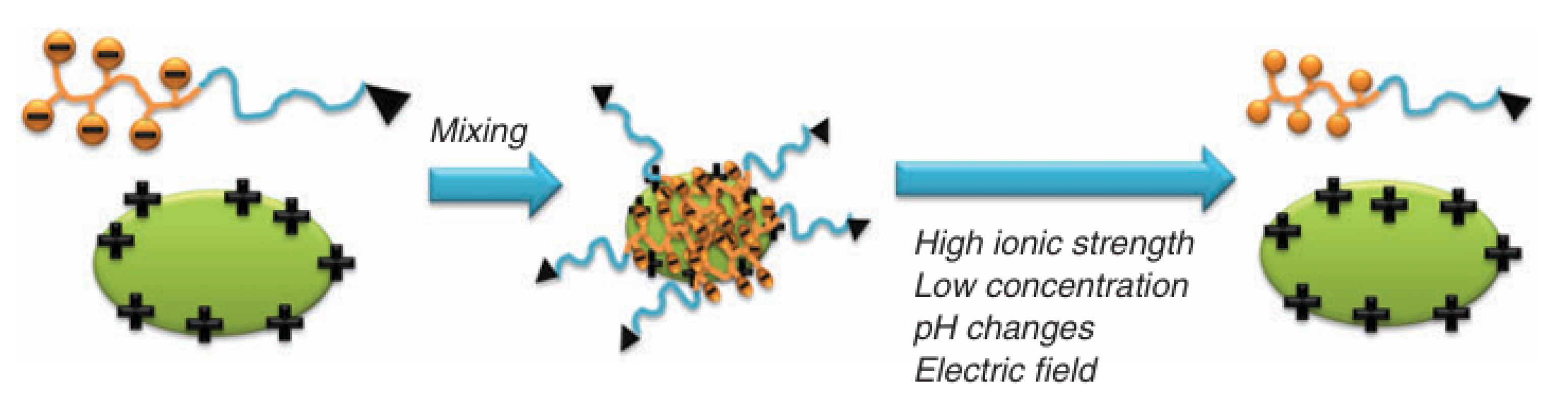 Polymers 16 01871 g003