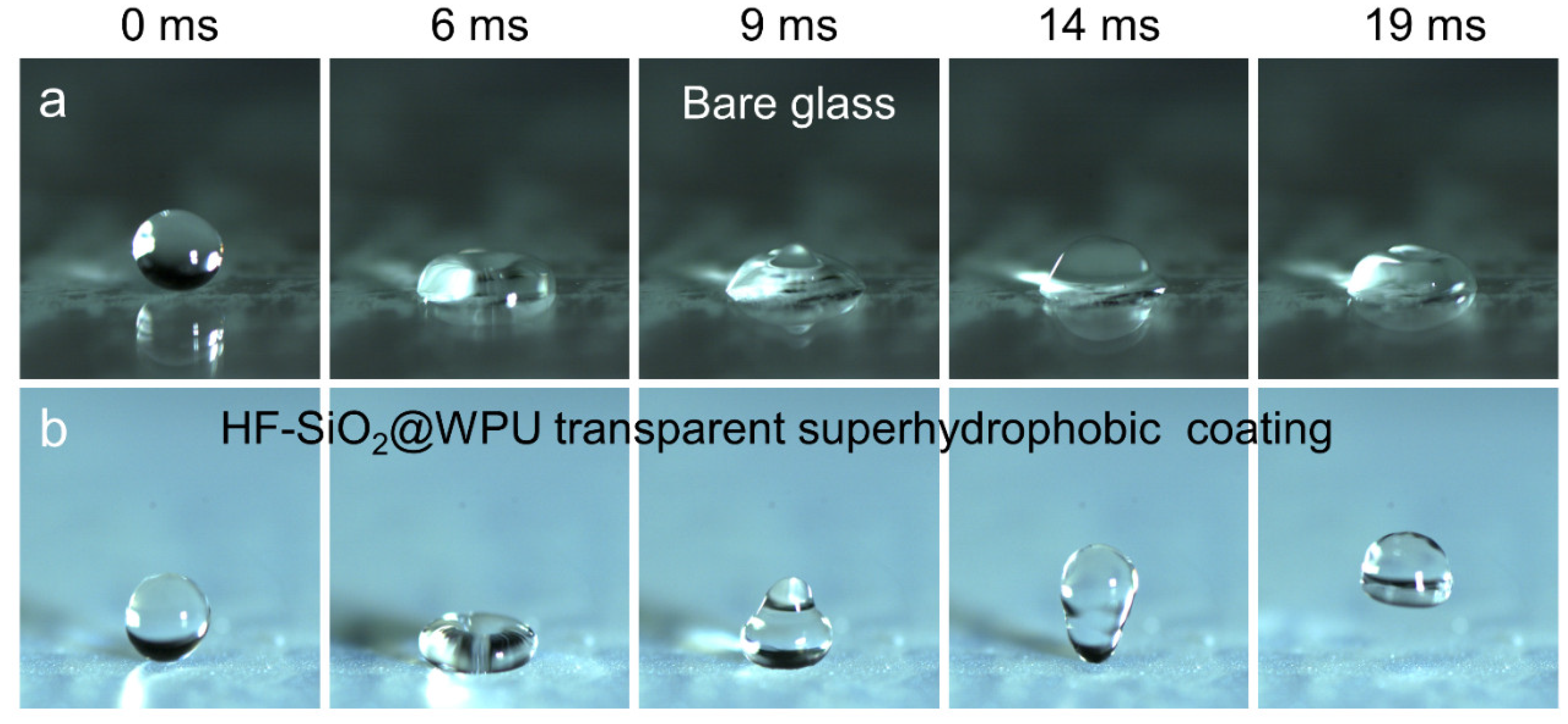 Polymers 16 01876 g007