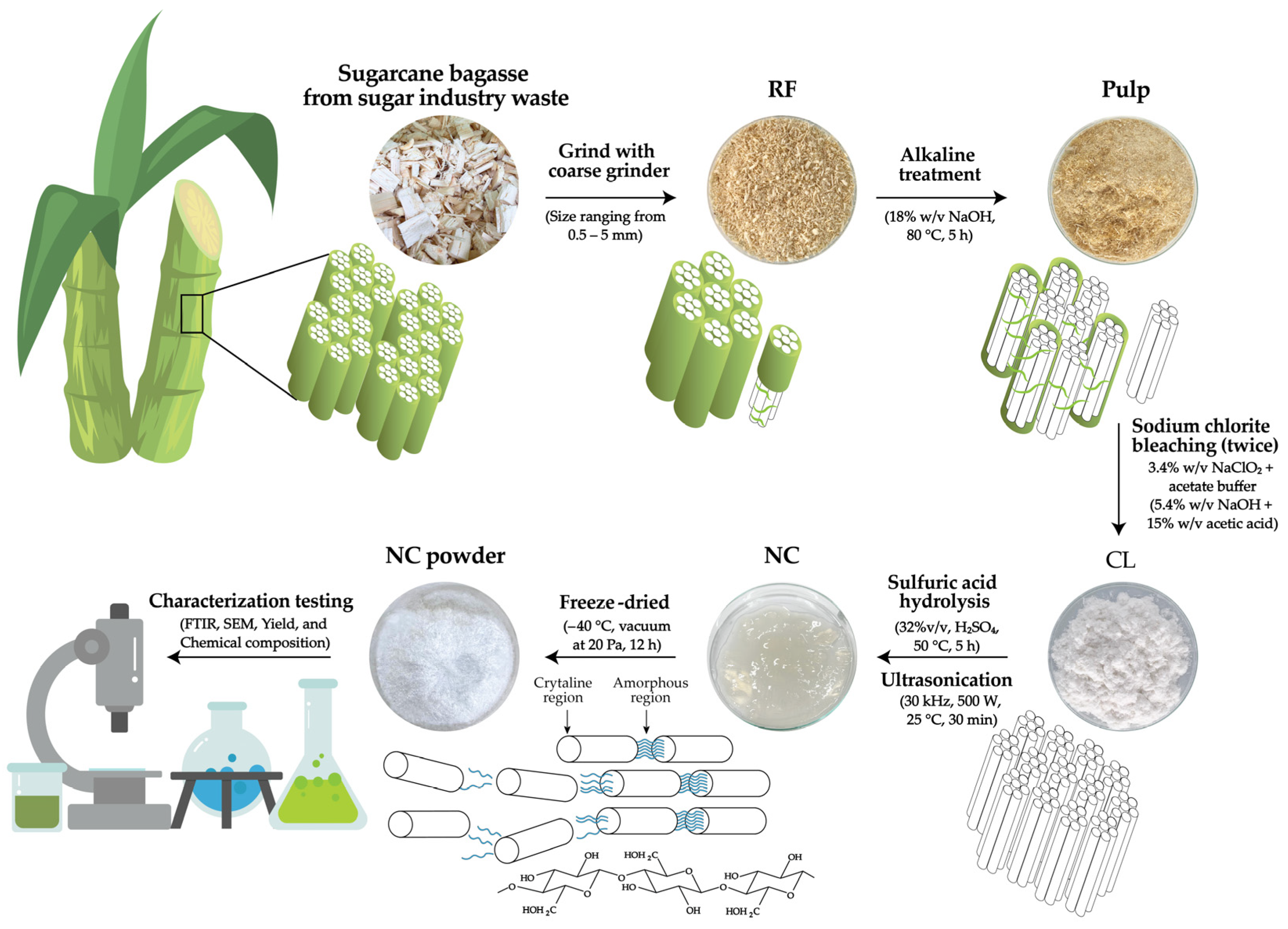 Polymers 16 01881 g001