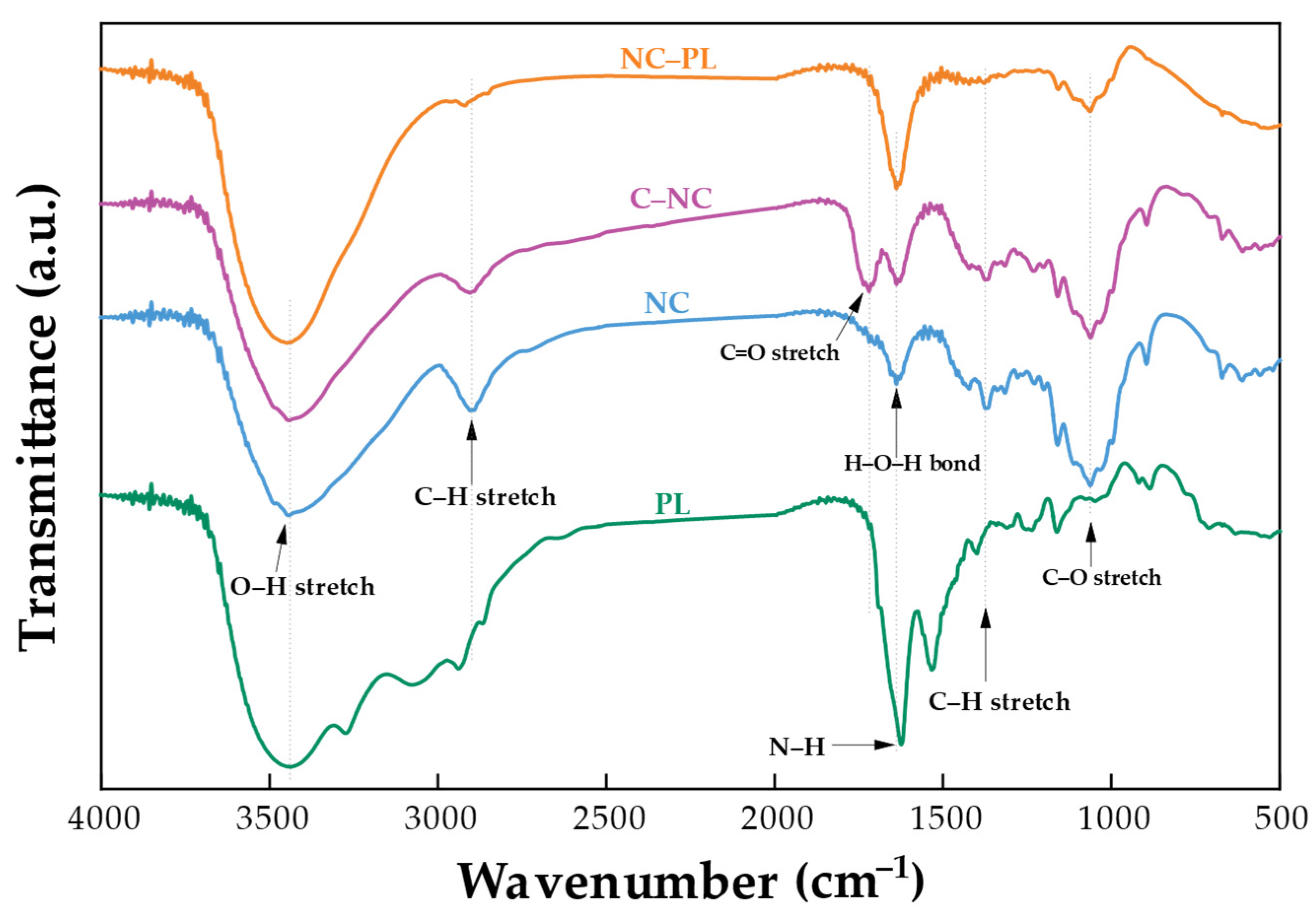 Polymers 16 01881 g003