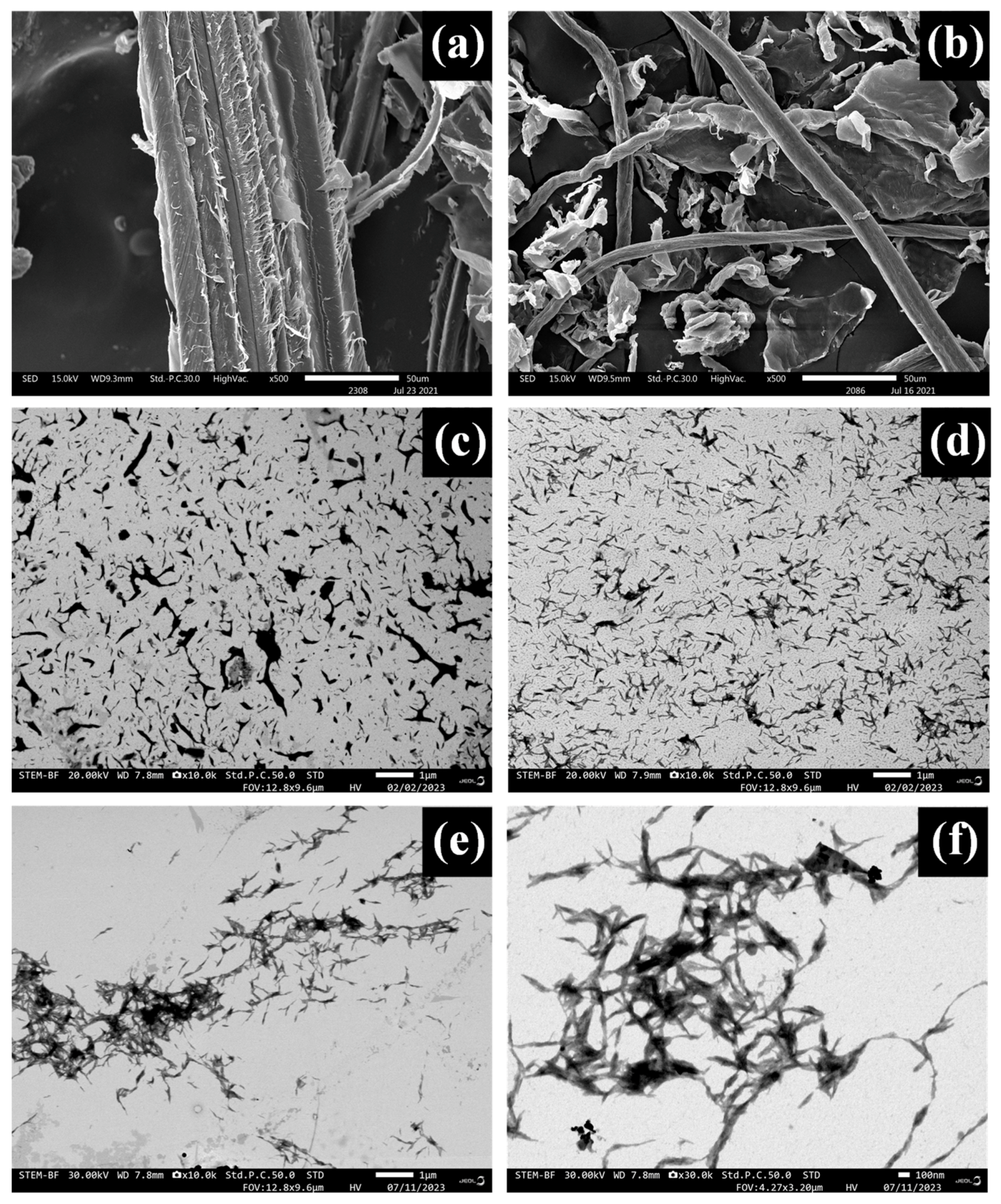 Polymers 16 01881 g004