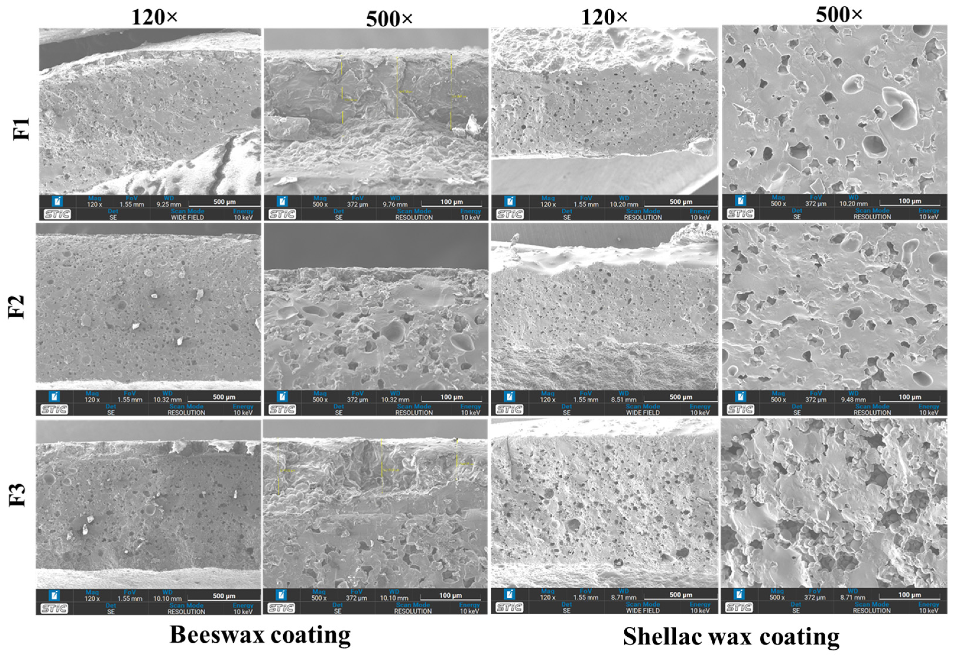 Polymers 16 01887 g006