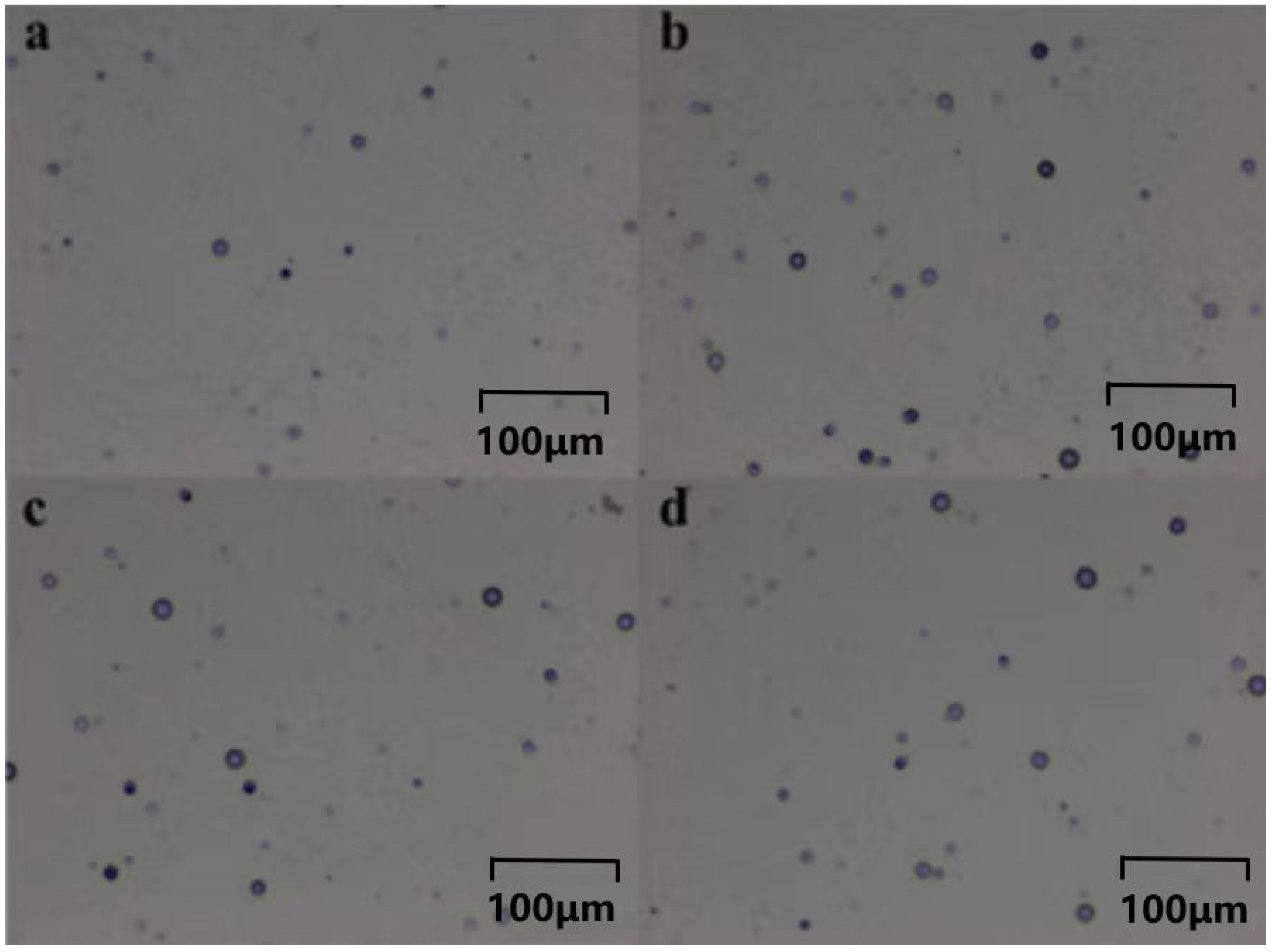Polymers 16 01891 g015