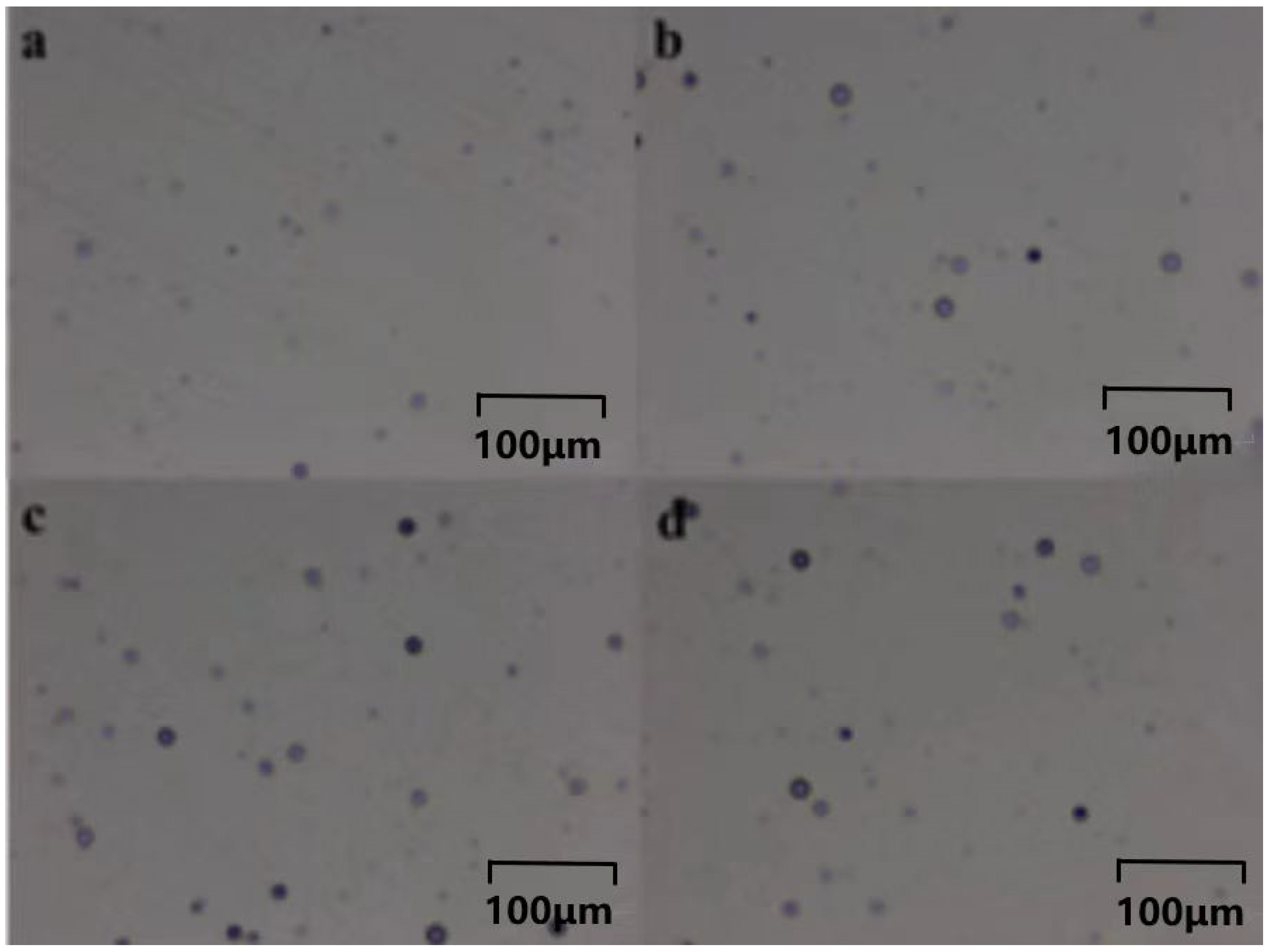Polymers 16 01891 g016