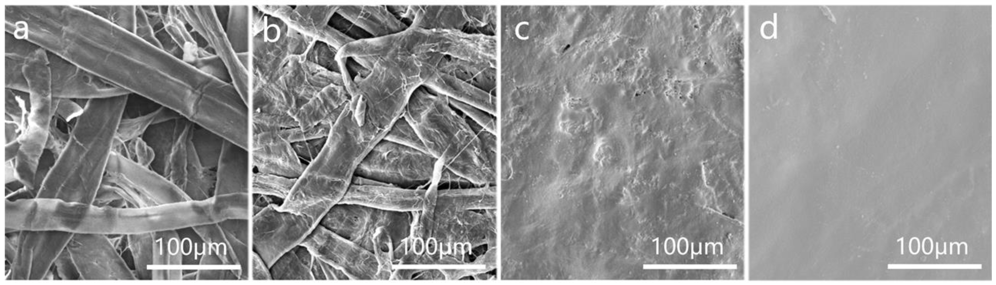 Polymers 16 01892 g009