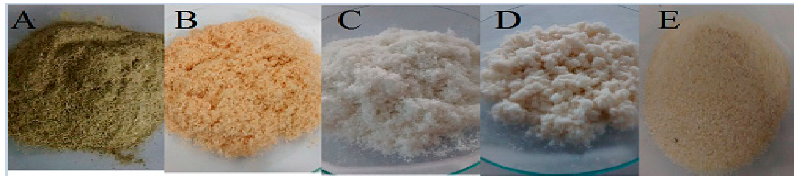 Polymers 16 01898 g001