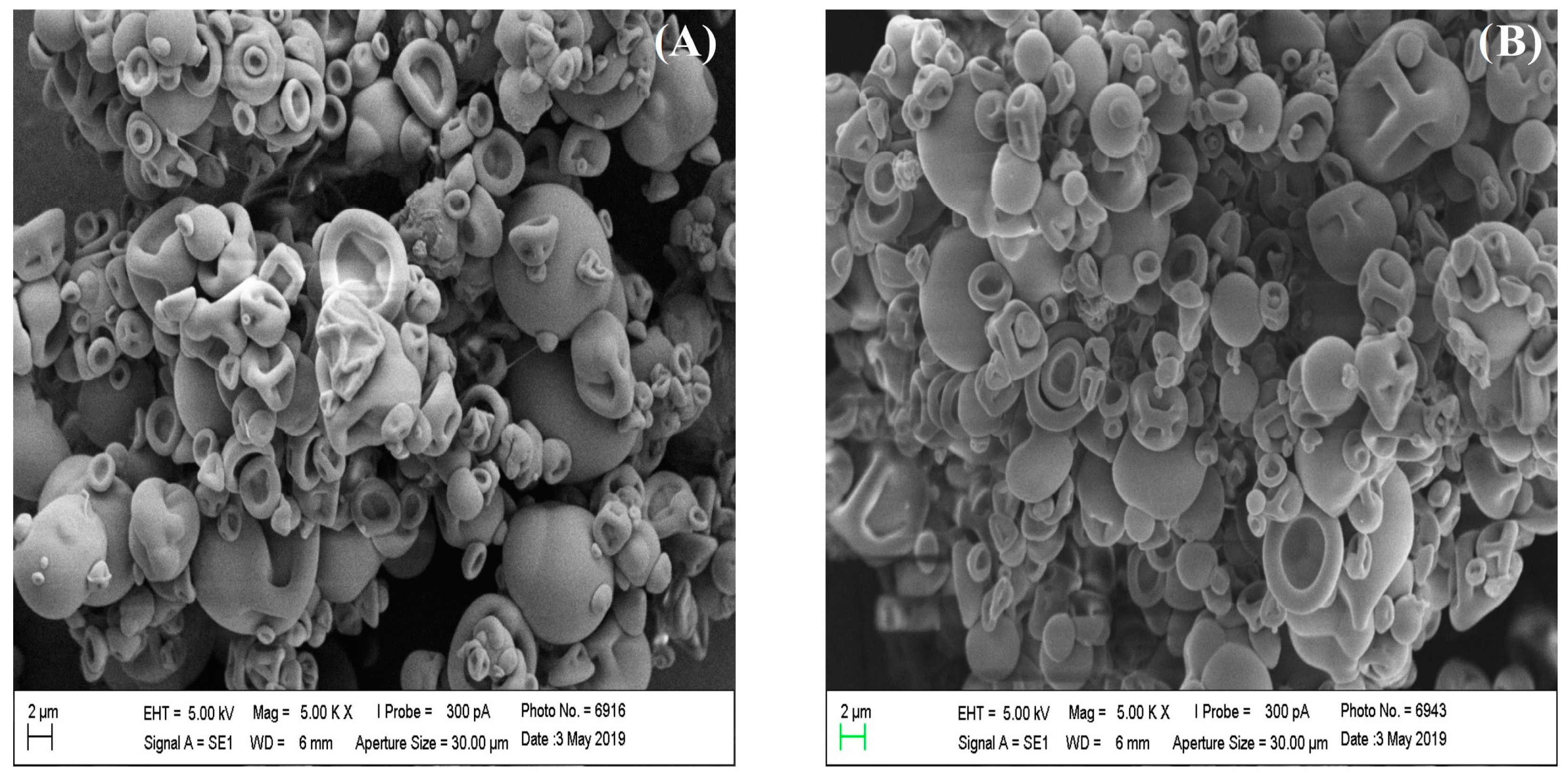 Polymers 16 01898 g005