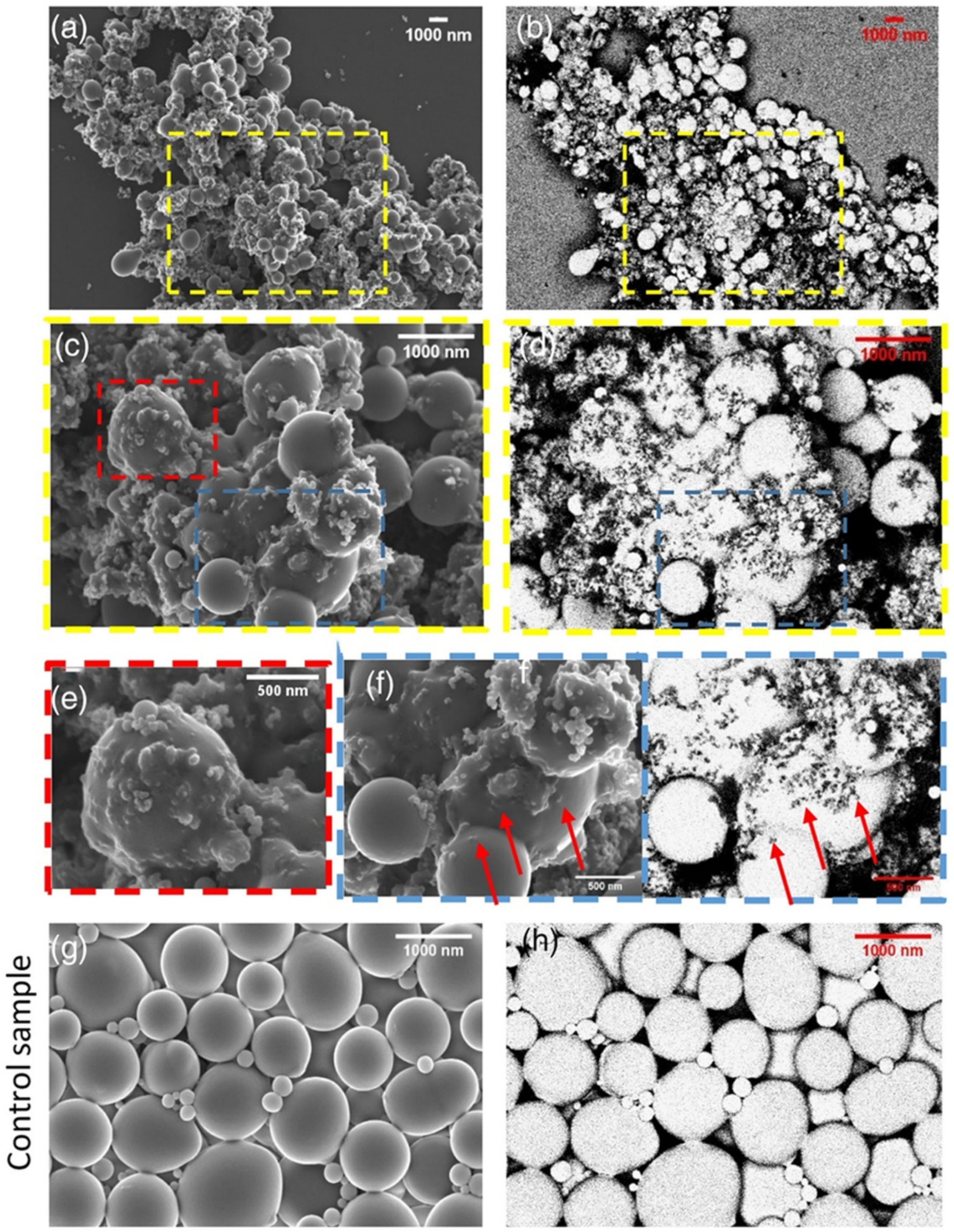 Polymers 16 01899 g006