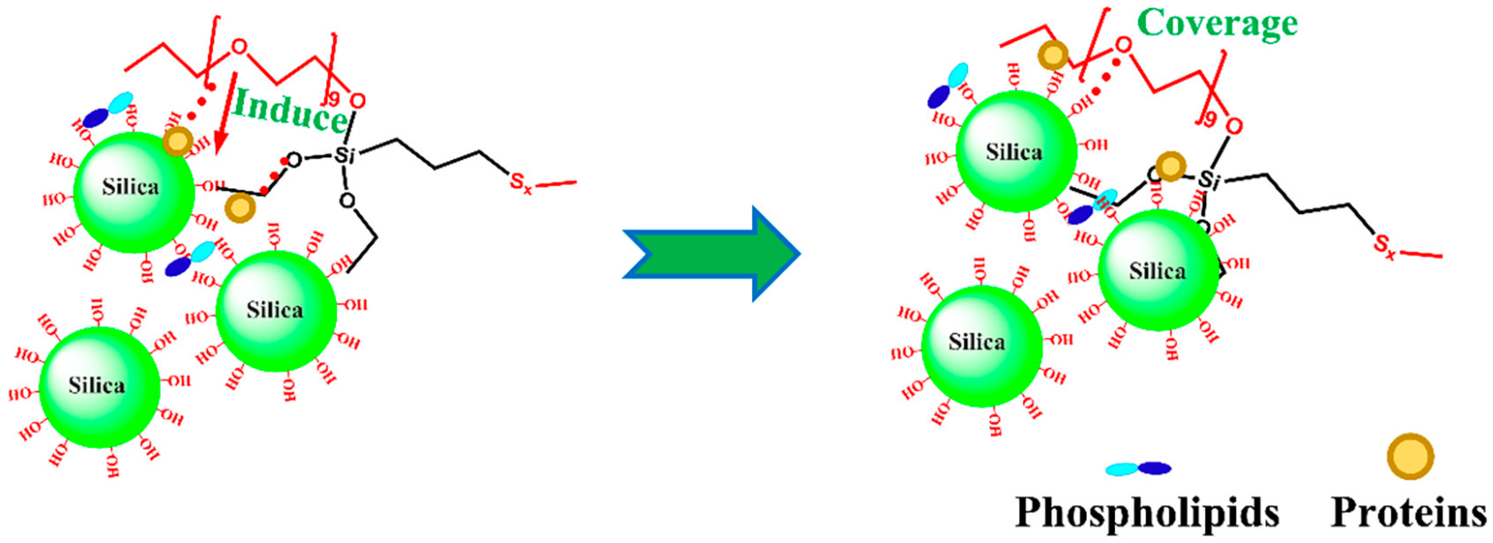 Polymers 16 01899 g007