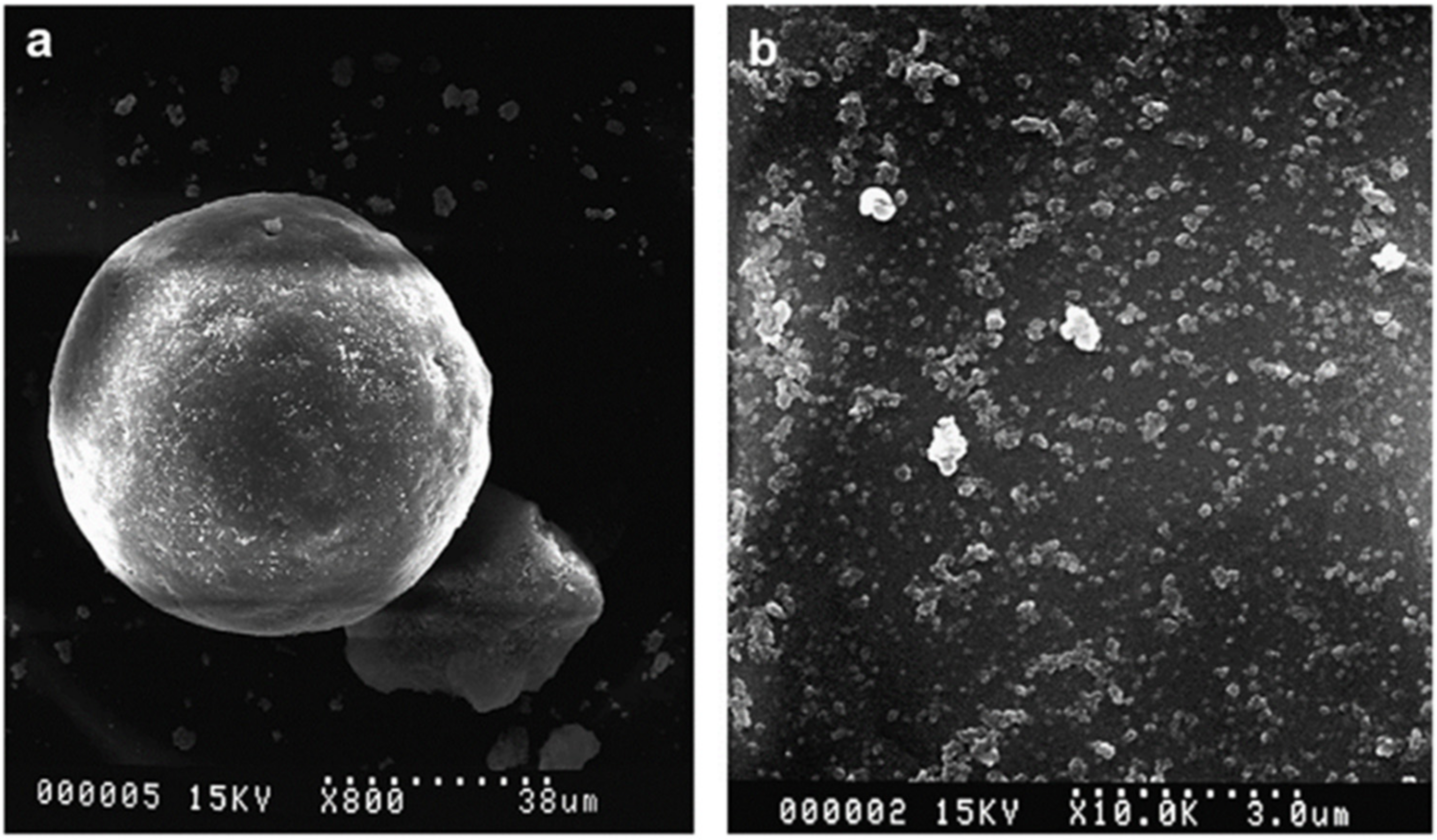 Polymers 16 01899 g010