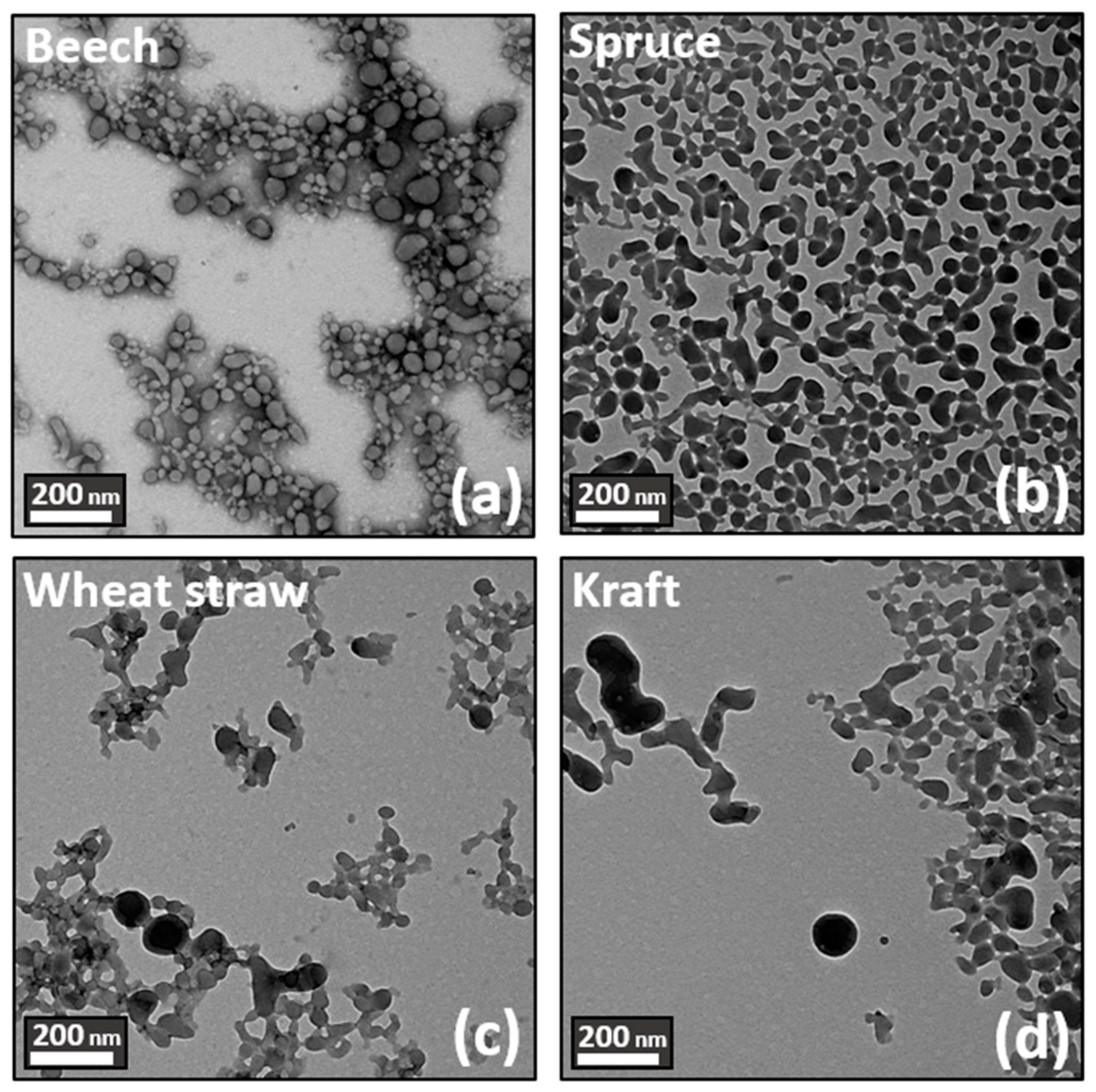 Polymers 16 01901 g003