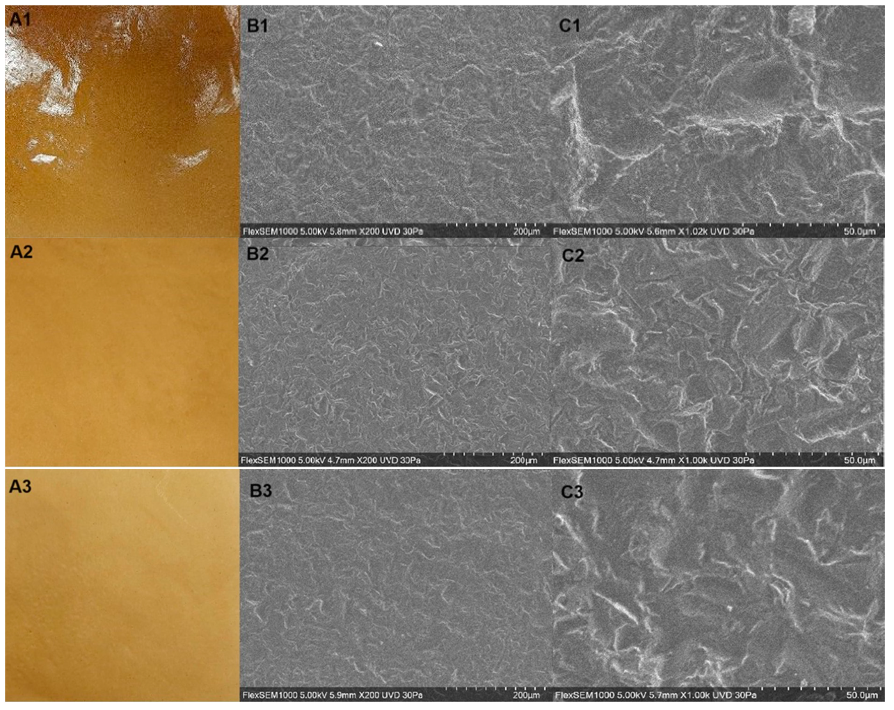 Polymers 16 01905 g001a Polymers 16 01905 g001a
