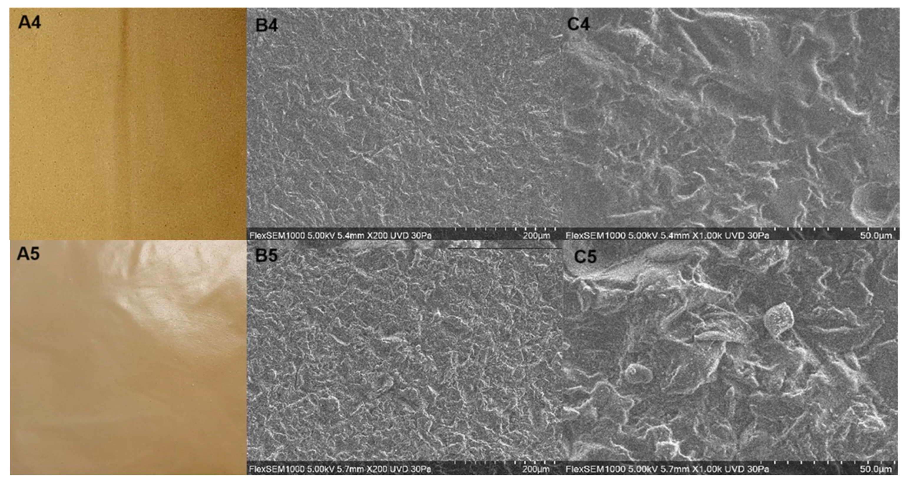 Polymers 16 01905 g001b Polymers 16 01905 g001b