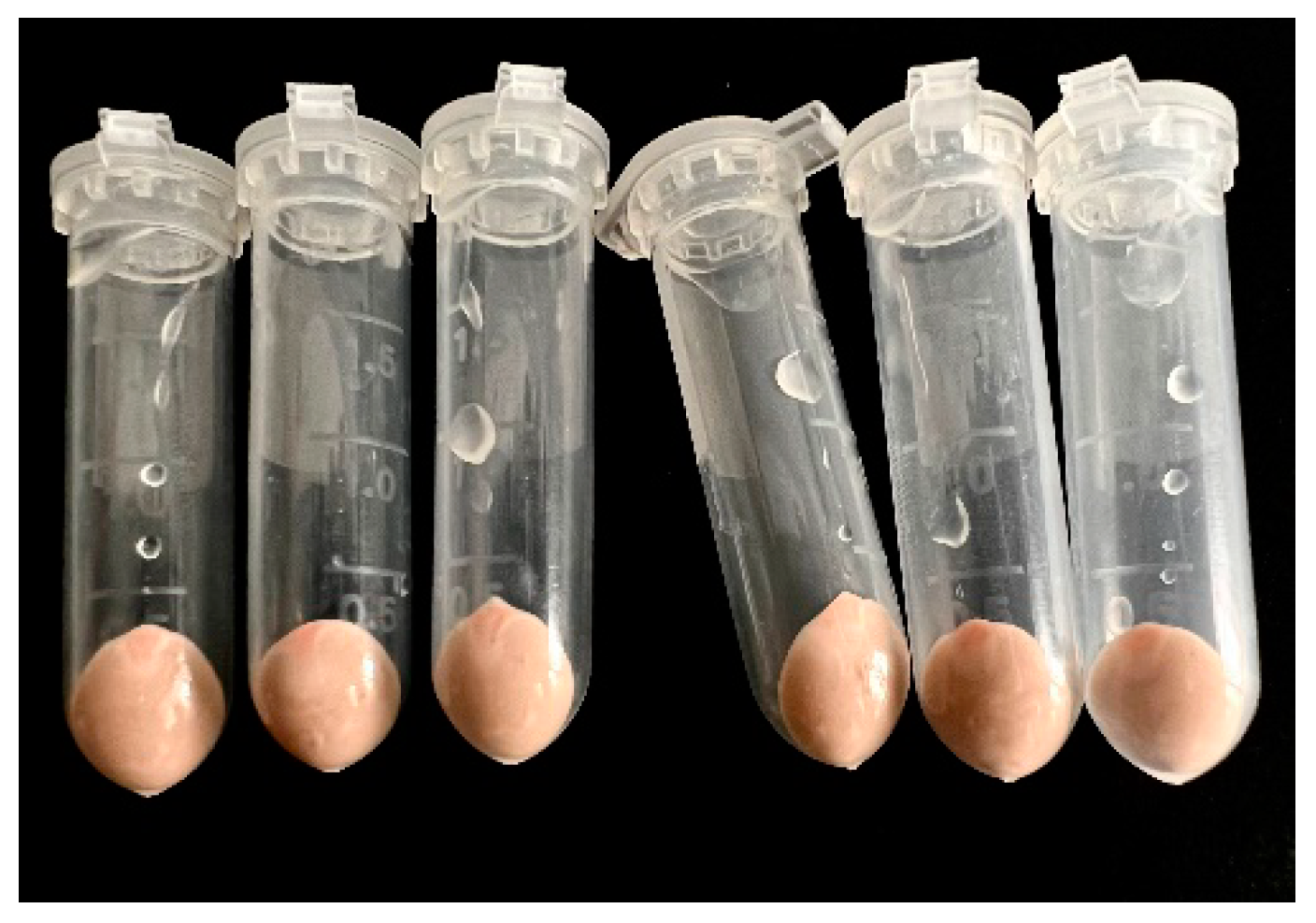 Polymers 16 01910 g001