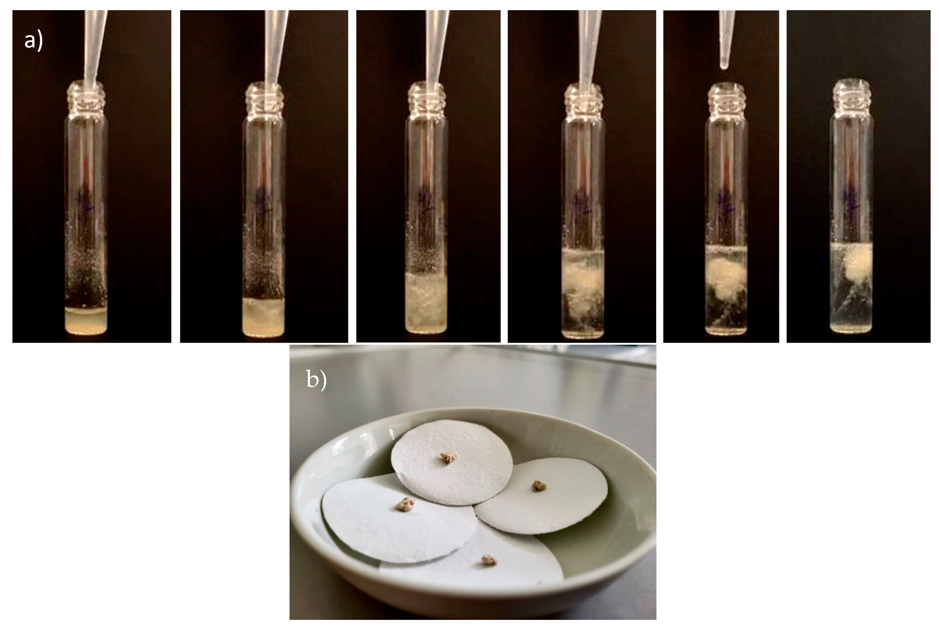 Polymers 16 01910 g002
